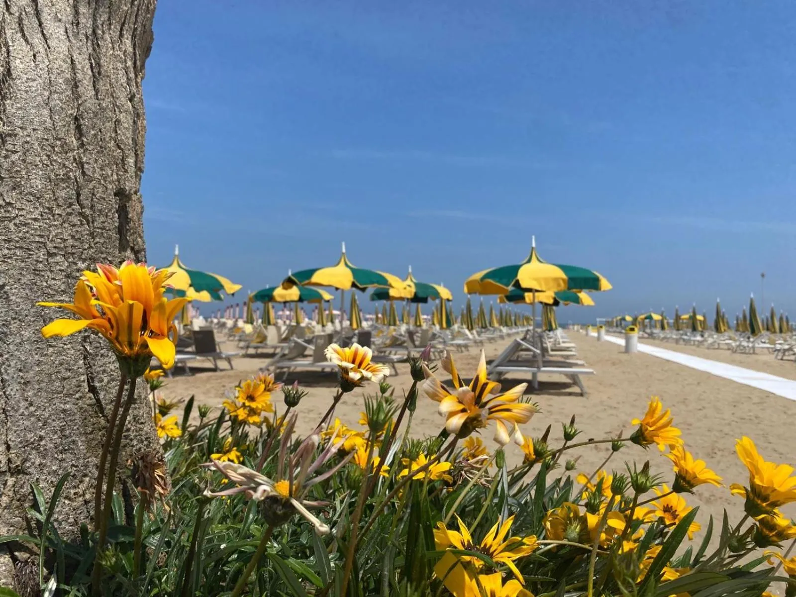Beach in Rimini Bay Suites&Residence