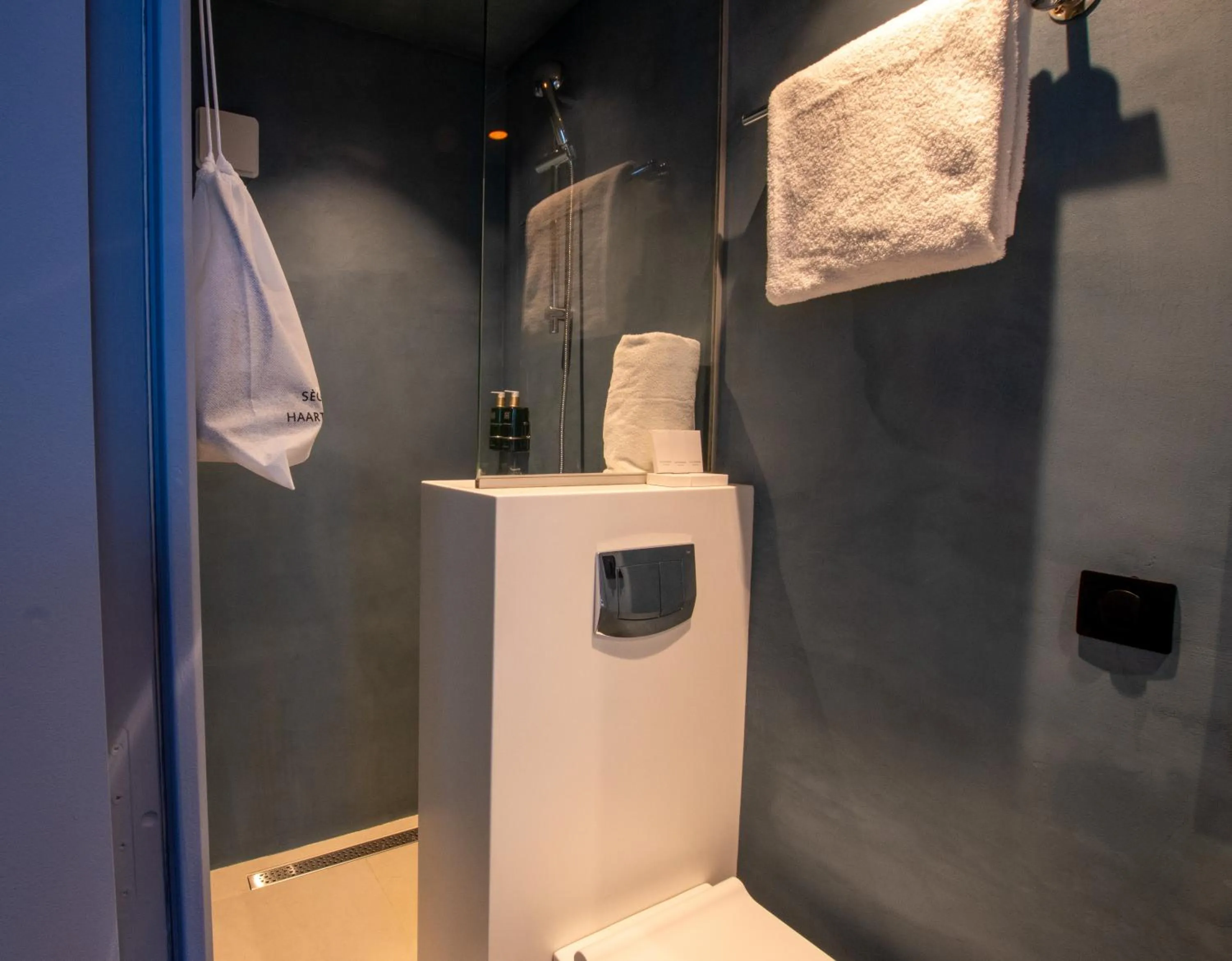 Shower in Hotel Du Cadran