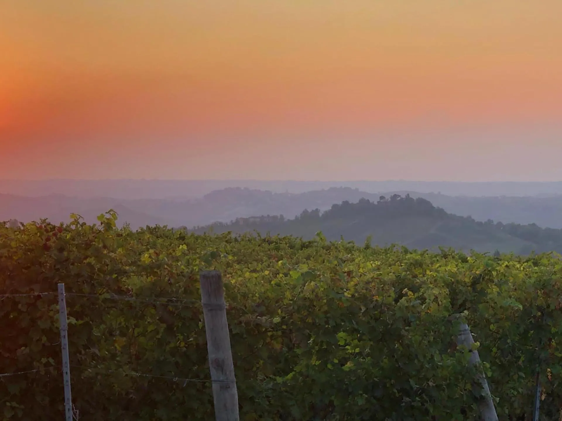 Chateau des Poccards