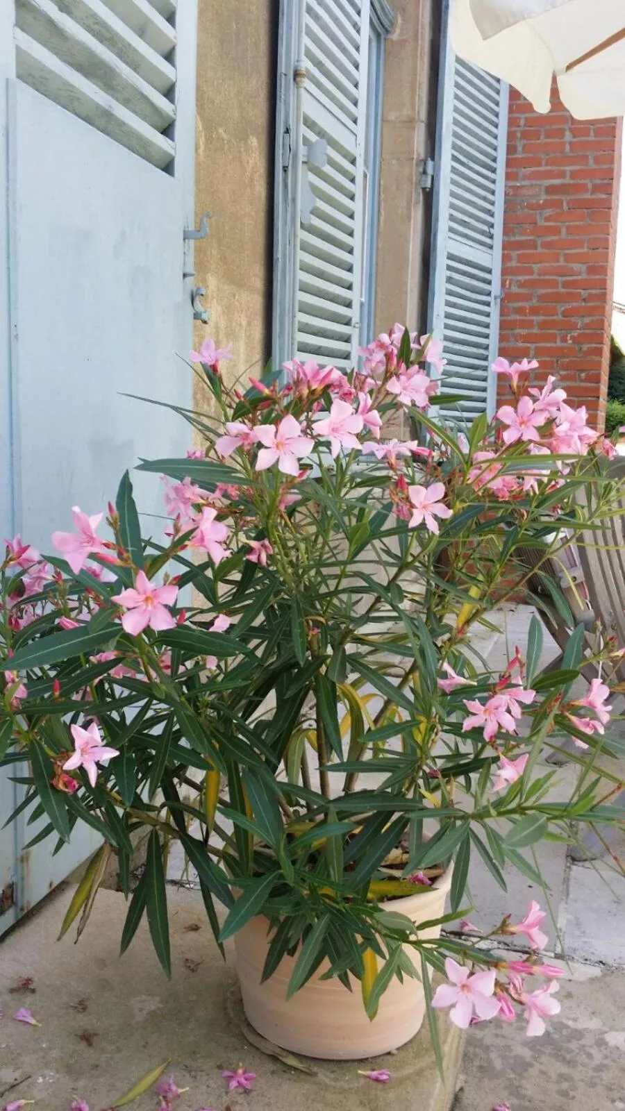 Chateau des Poccards