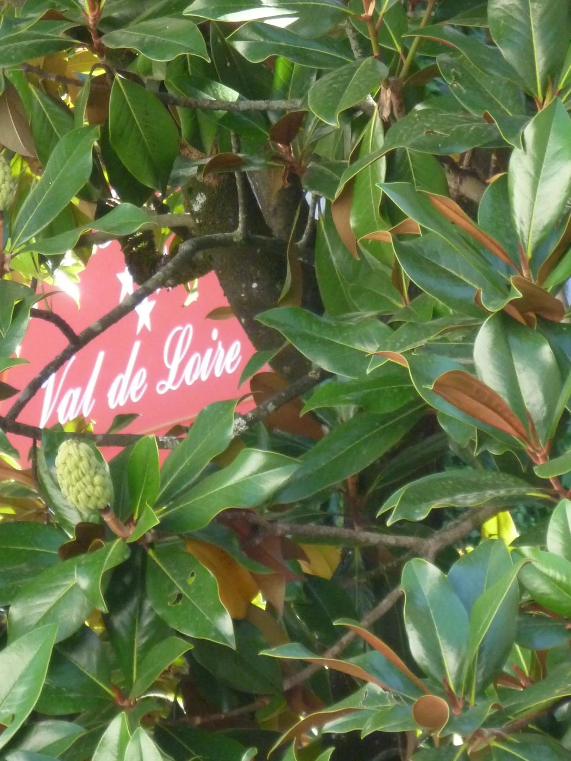 Facade/entrance in Hotel Val De Loire