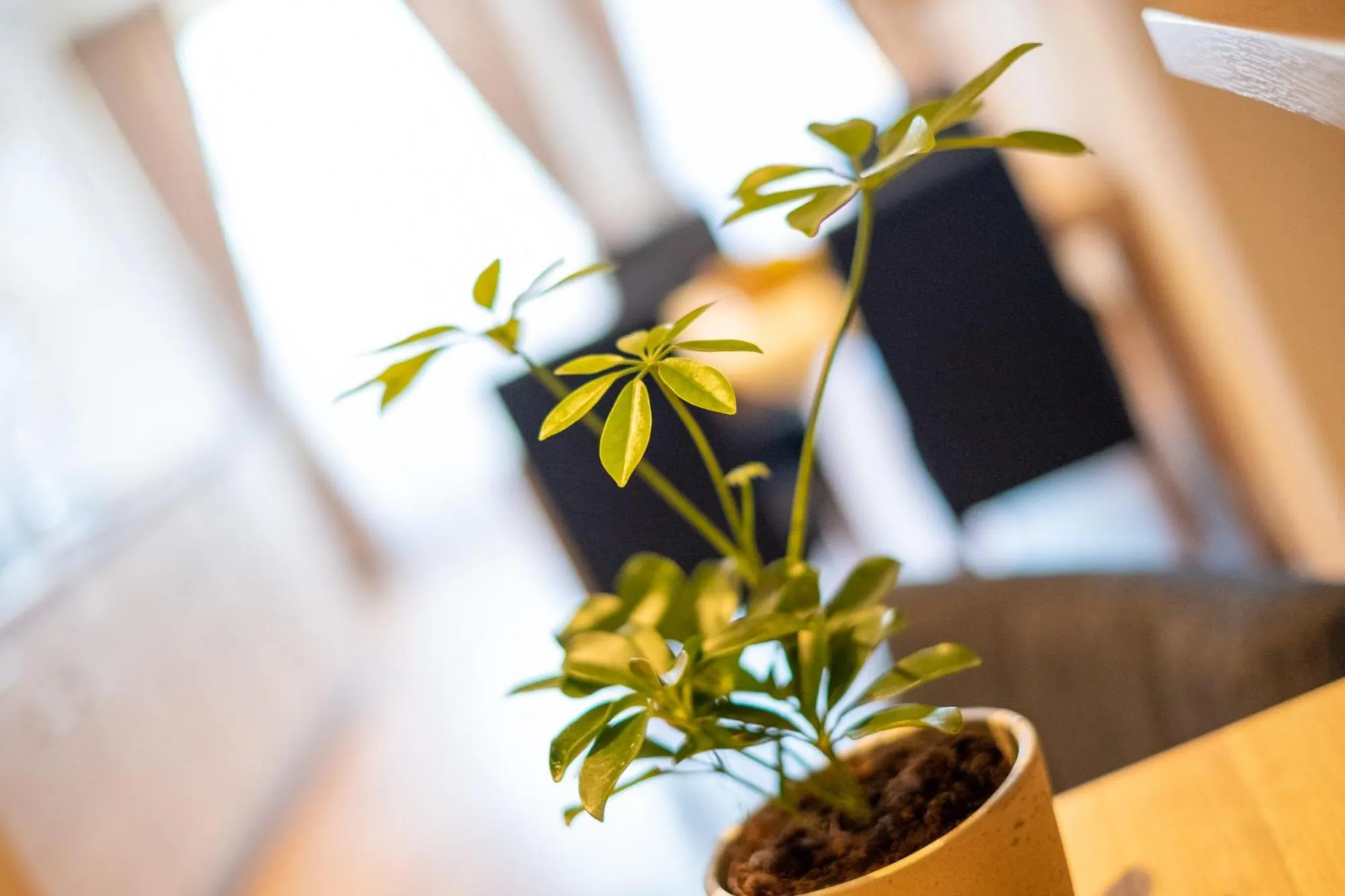 Nearby landmark in Aparthotel Werdenfels