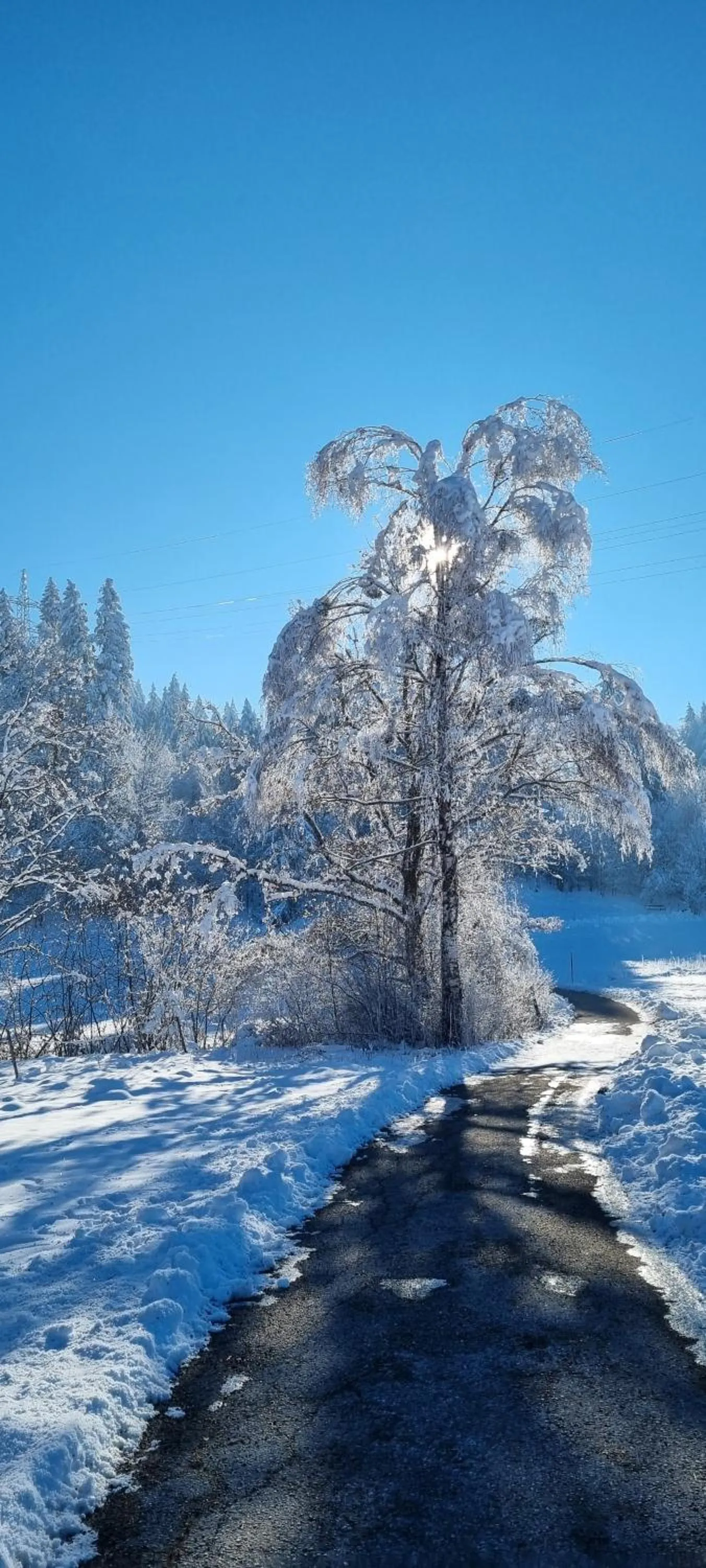 Winter in Aparthotel Werdenfels