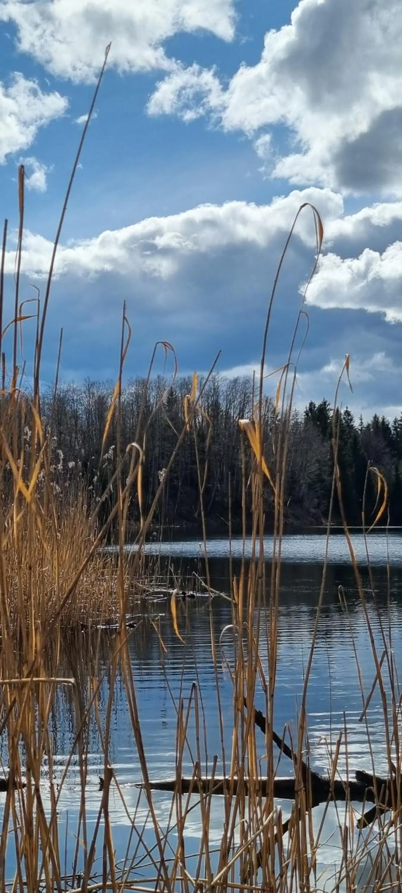 Nearby landmark in Aparthotel Werdenfels