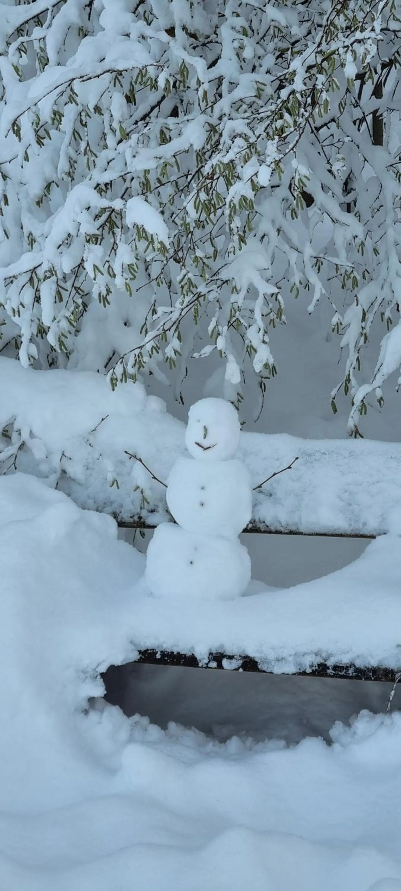 Nearby landmark in Aparthotel Werdenfels