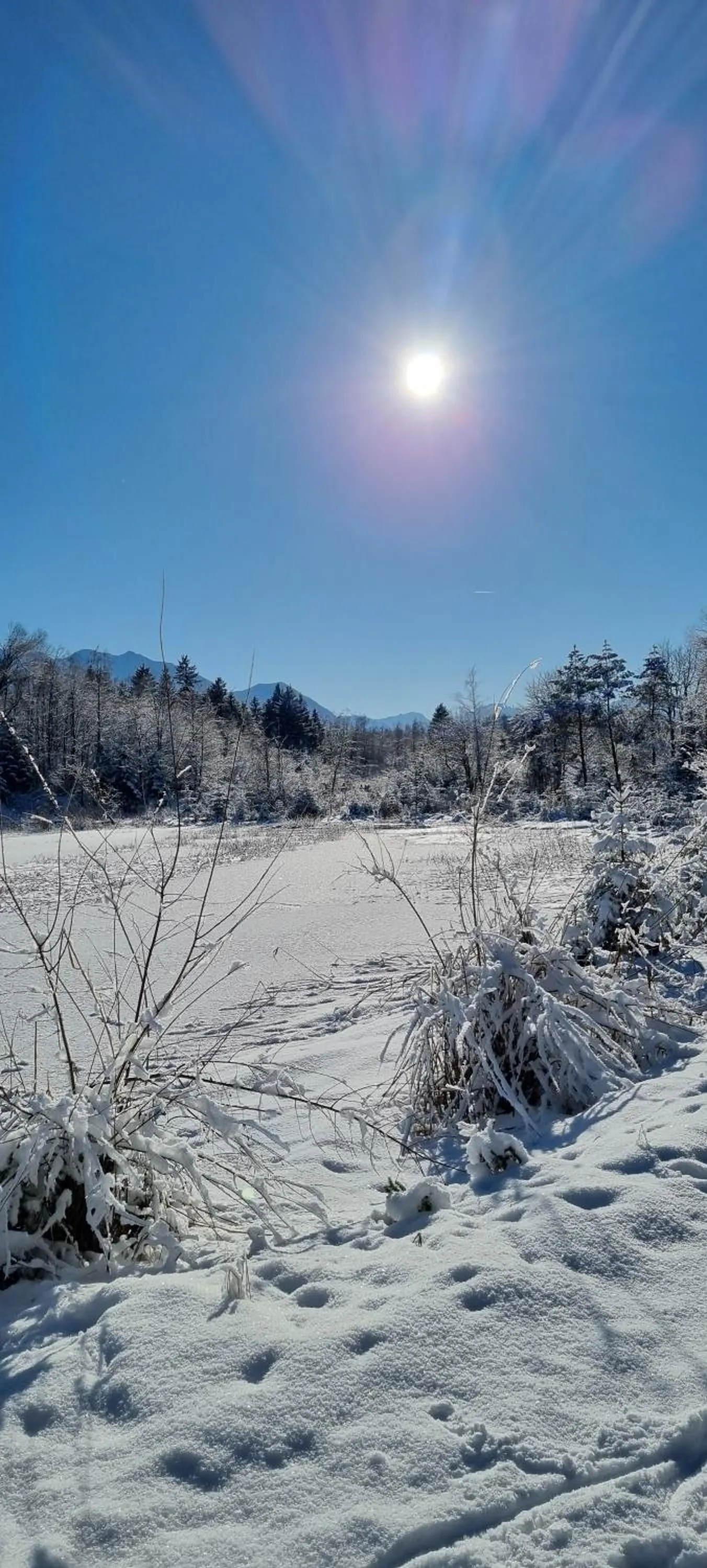 Winter in Aparthotel Werdenfels