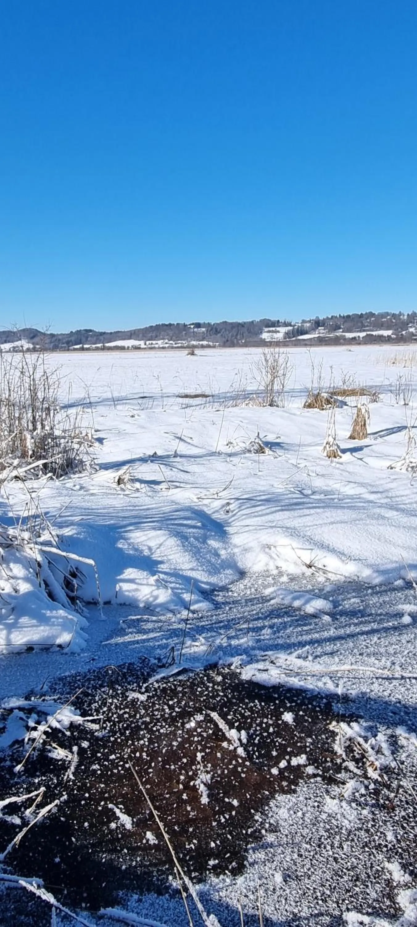 Winter in Aparthotel Werdenfels