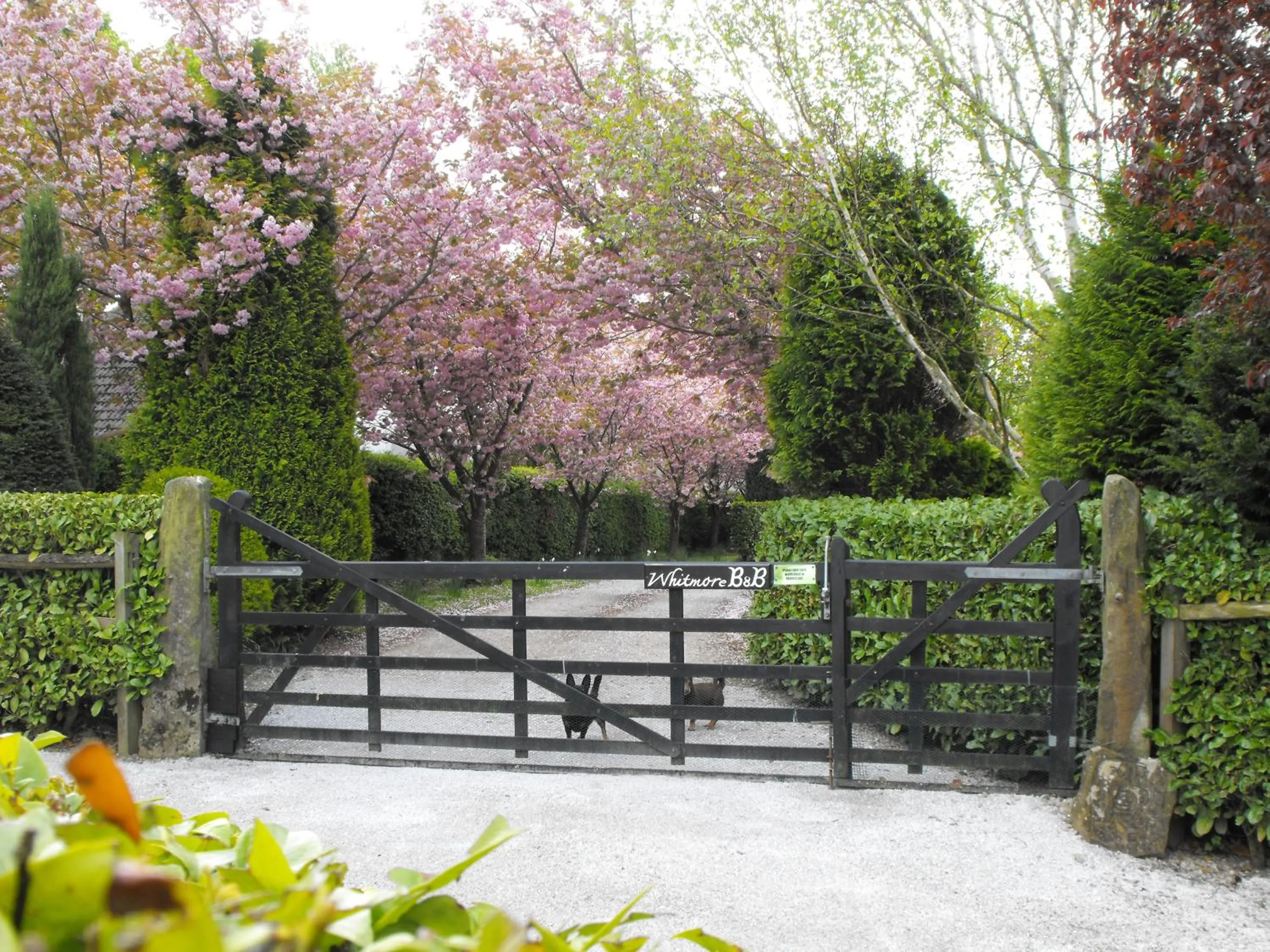 Property building in Whitmore