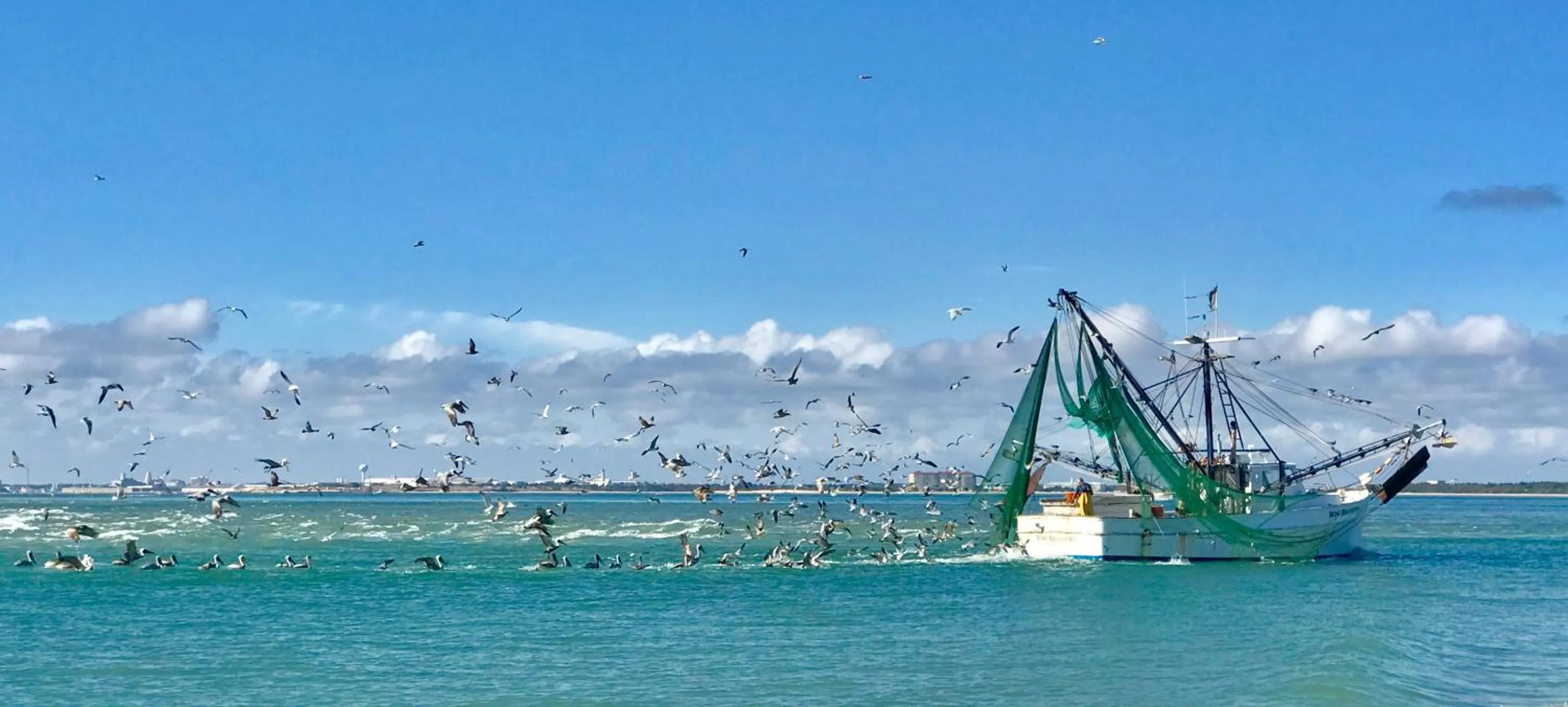 Natural landscape in Inn on Turner