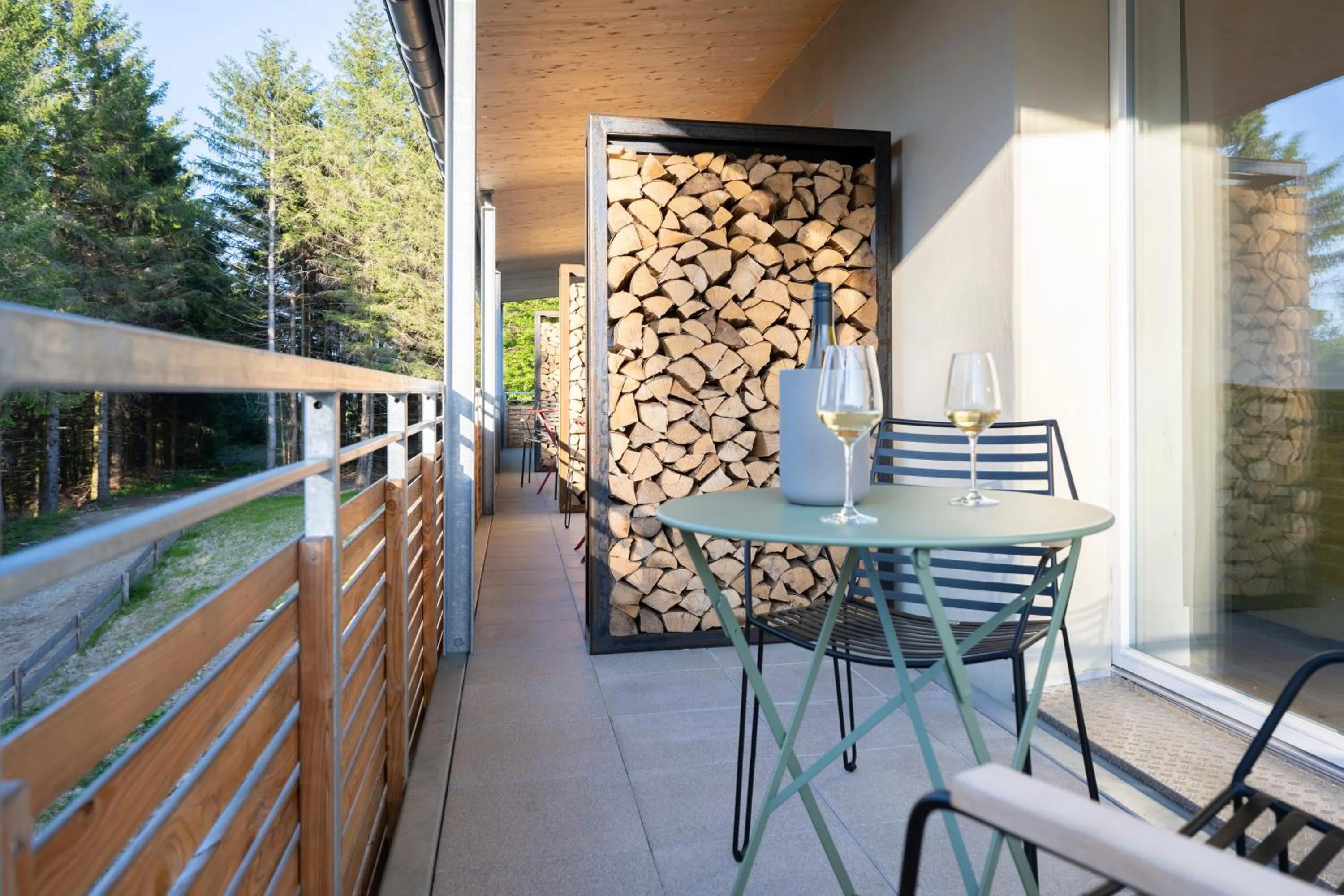 View (from property/room) in Berghaus Freiburg - Appartement Hotel auf dem Schauinsland