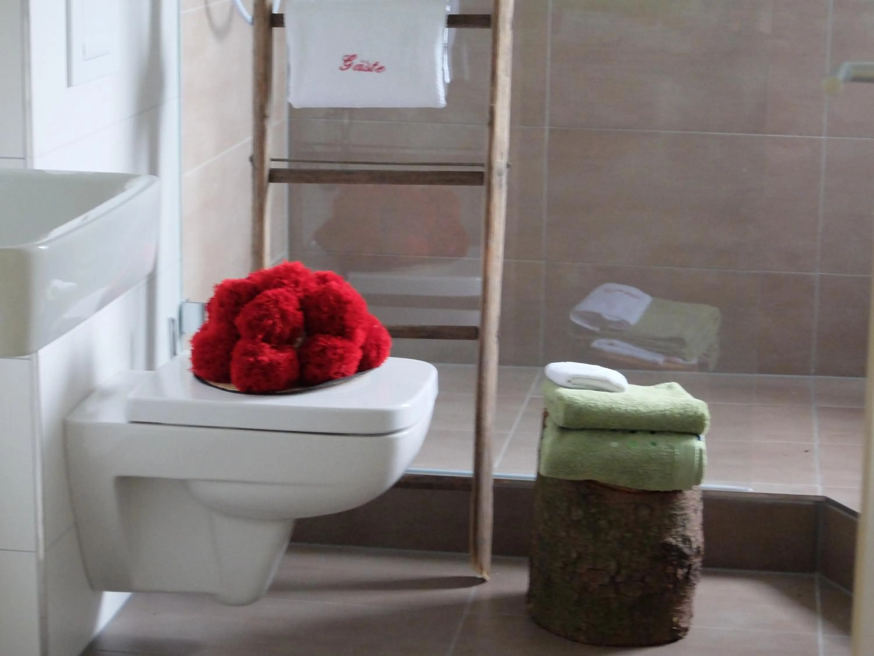 Shower in Berghaus Freiburg - Appartement Hotel auf dem Schauinsland
