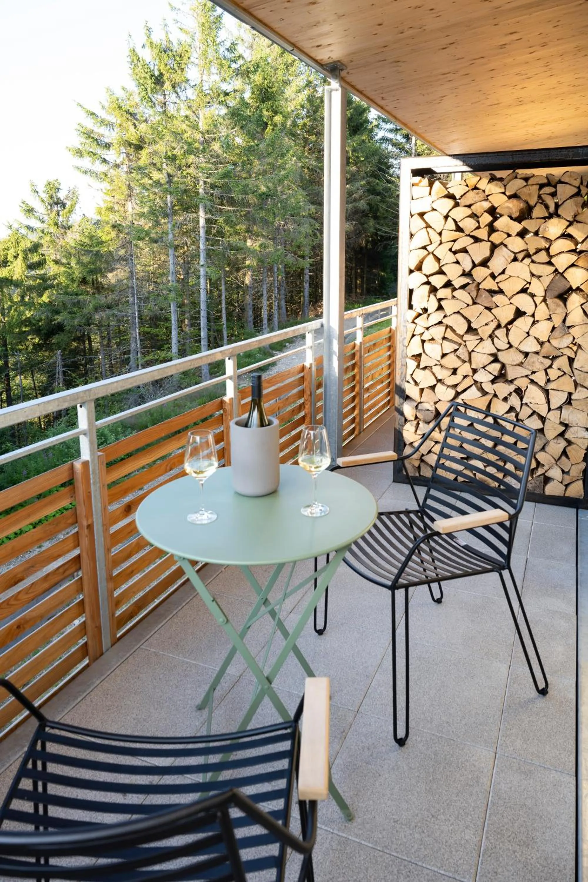 Balcony/Terrace in Berghaus Freiburg - Appartement Hotel auf dem Schauinsland