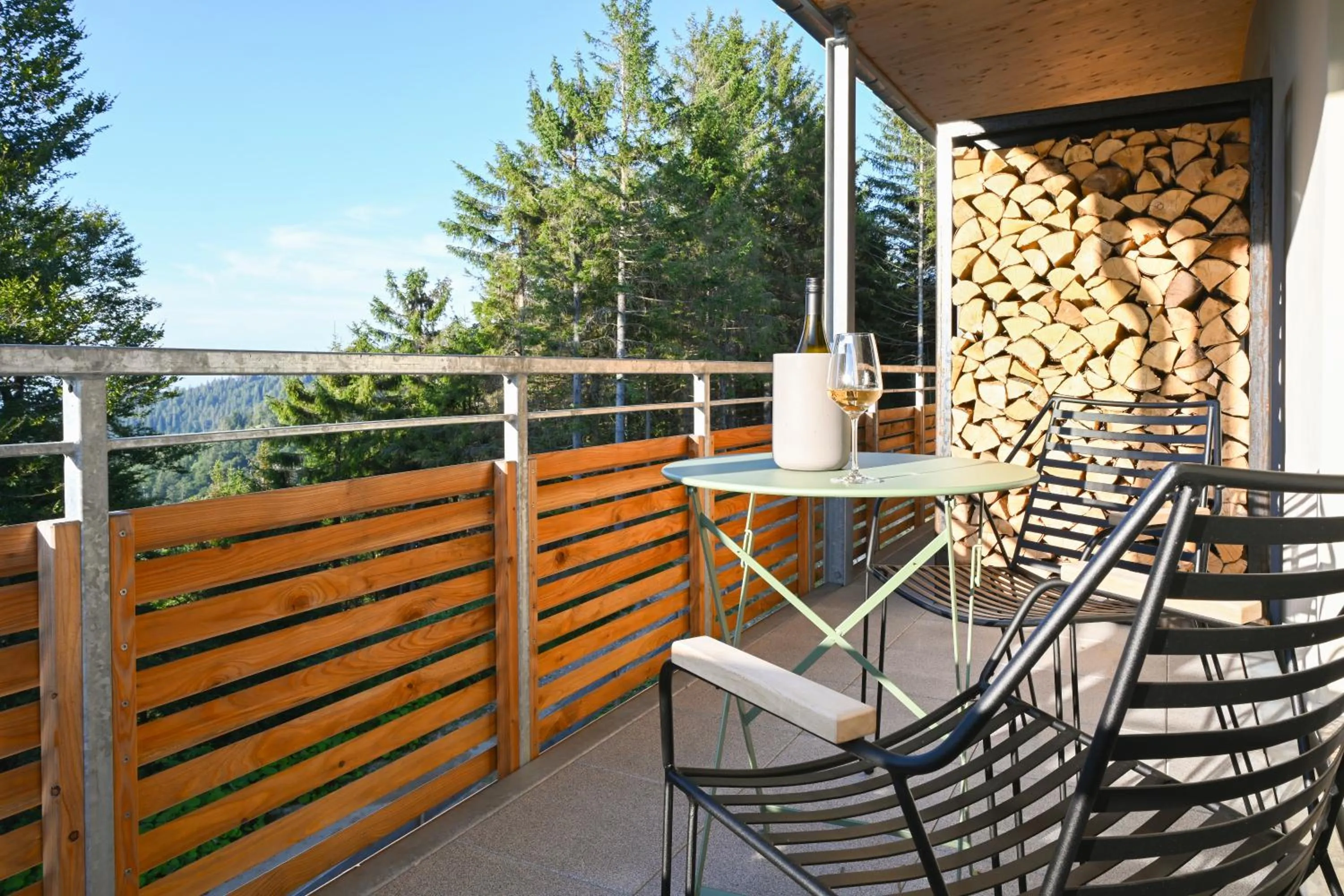 View (from property/room) in Berghaus Freiburg - Appartement Hotel auf dem Schauinsland