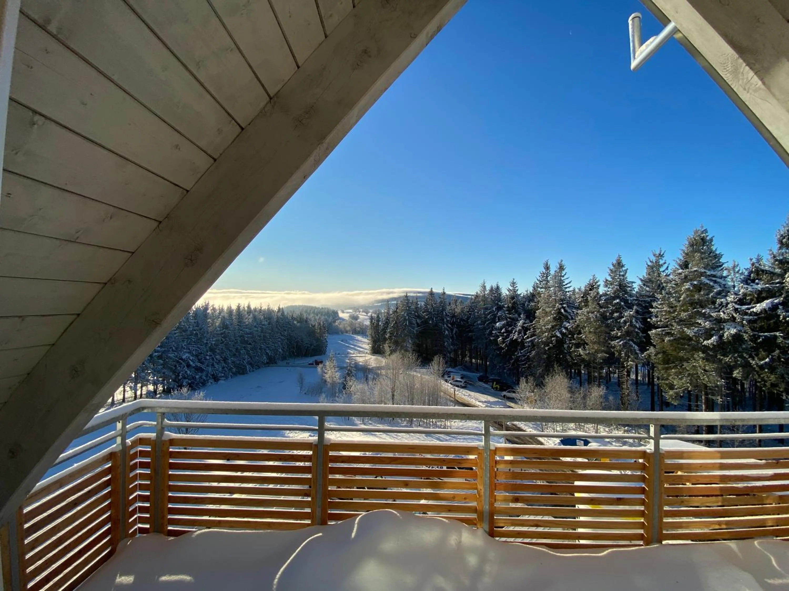 Natural landscape in Berghaus Freiburg - Appartement Hotel auf dem Schauinsland