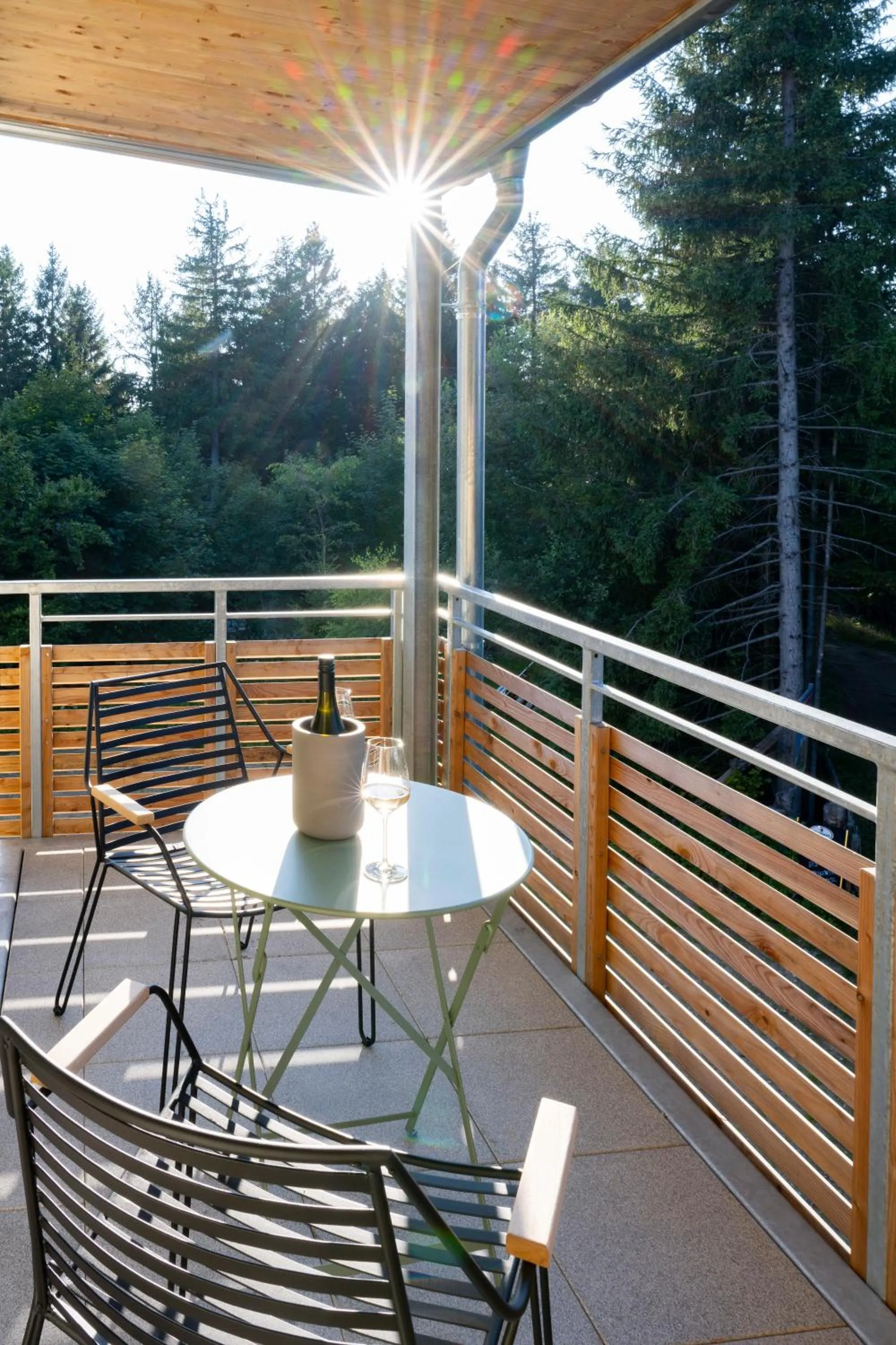 Natural landscape in Berghaus Freiburg - Appartement Hotel auf dem Schauinsland