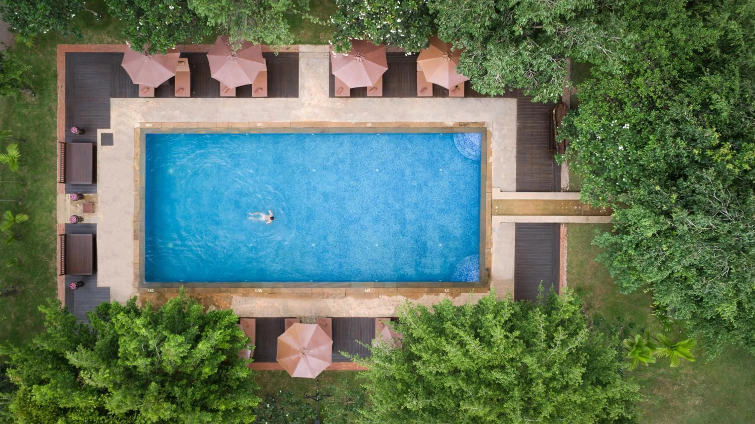 Day in Mane Hariharalaya