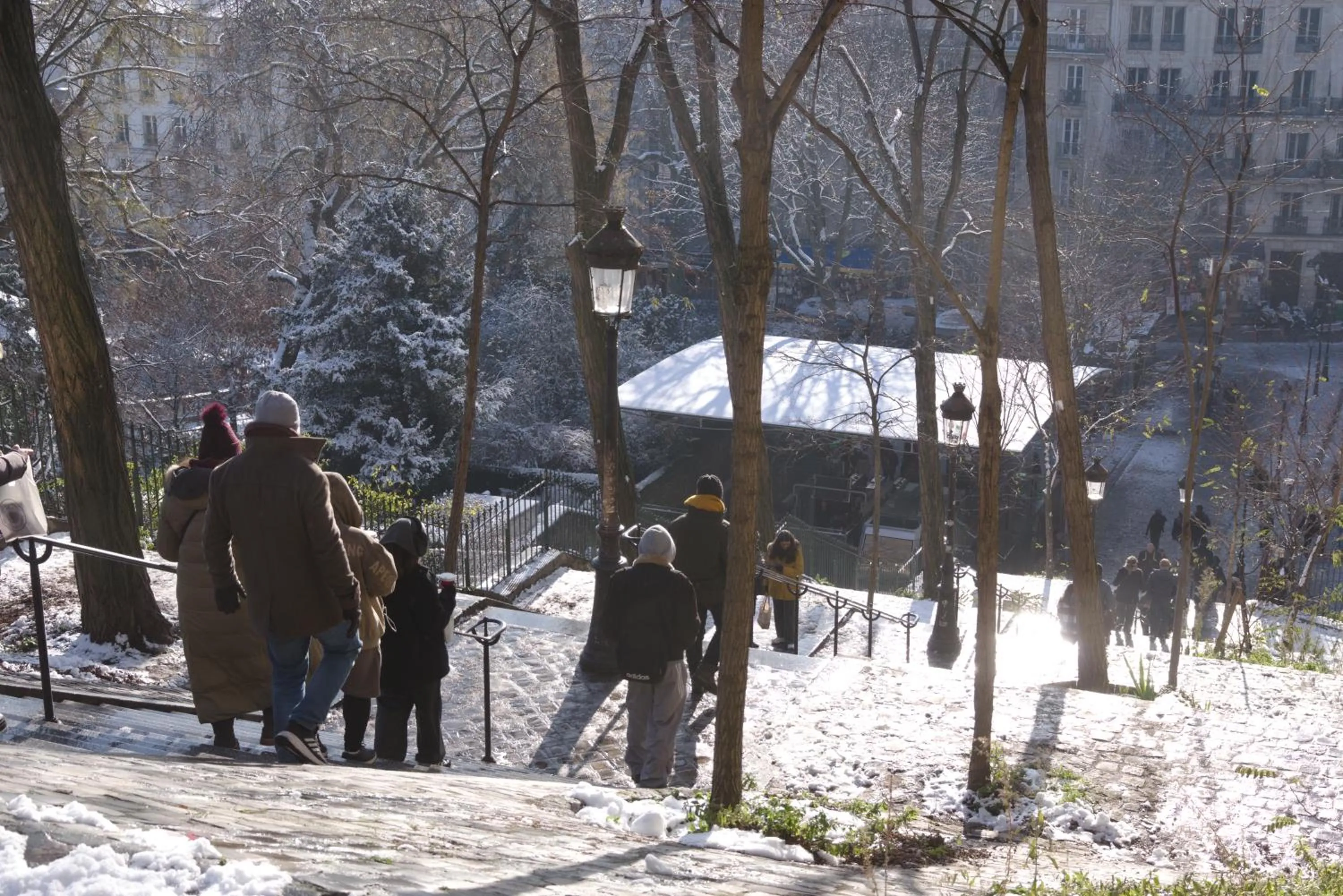 Natural landscape in Hôtel Regyn's Montmartre