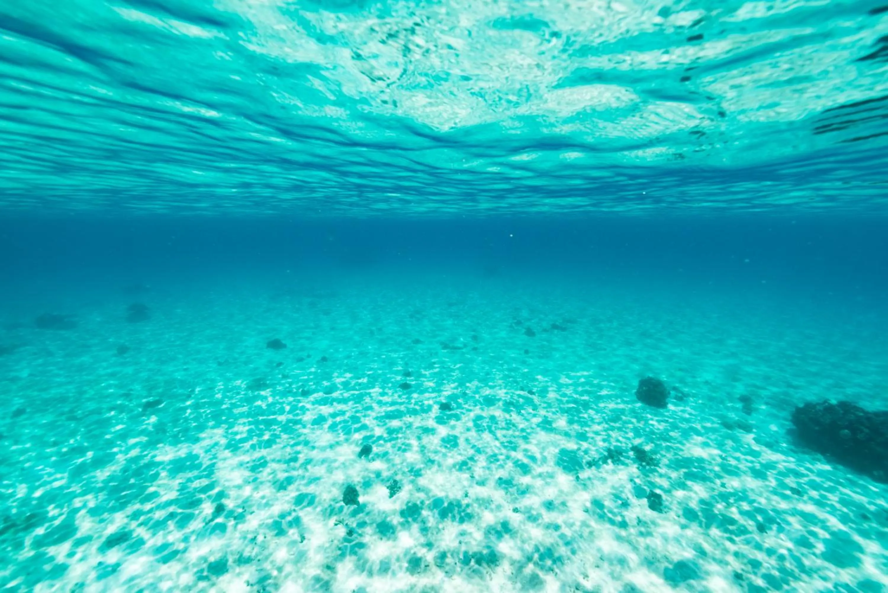 Nearby landmark in Ecot Shimozato 1