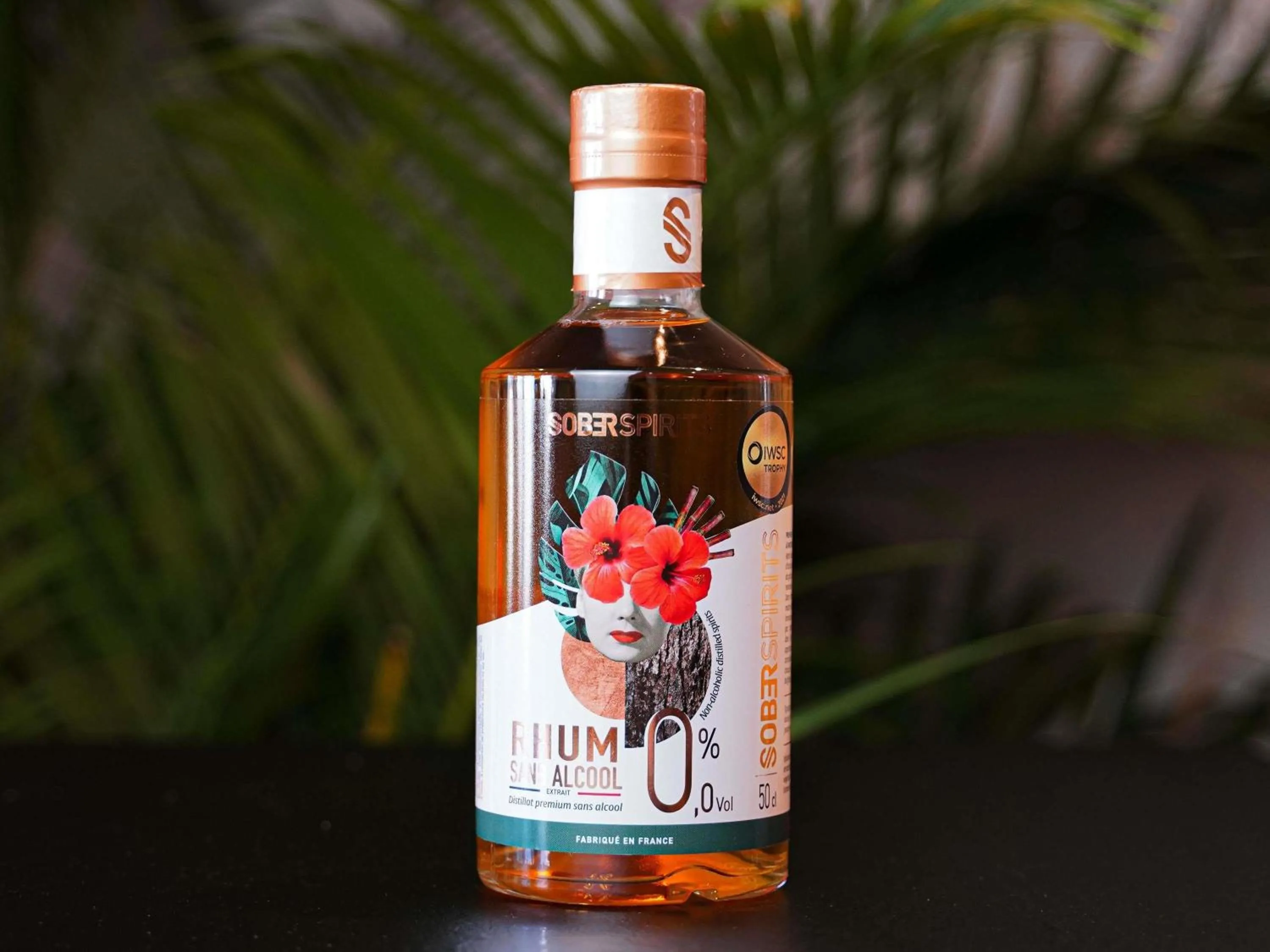 Lounge or bar in Novotel La Grande Motte Golf