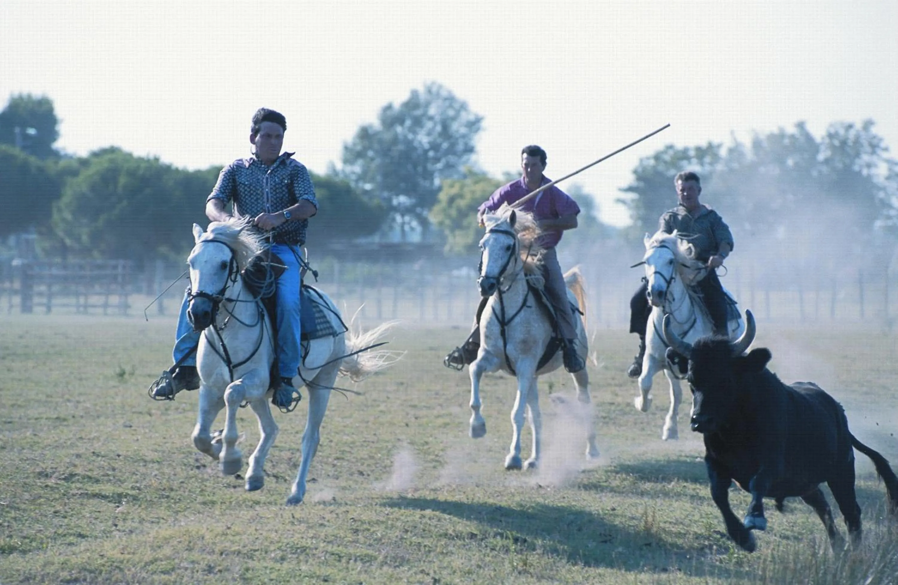 Landmark view in Novotel La Grande Motte Golf