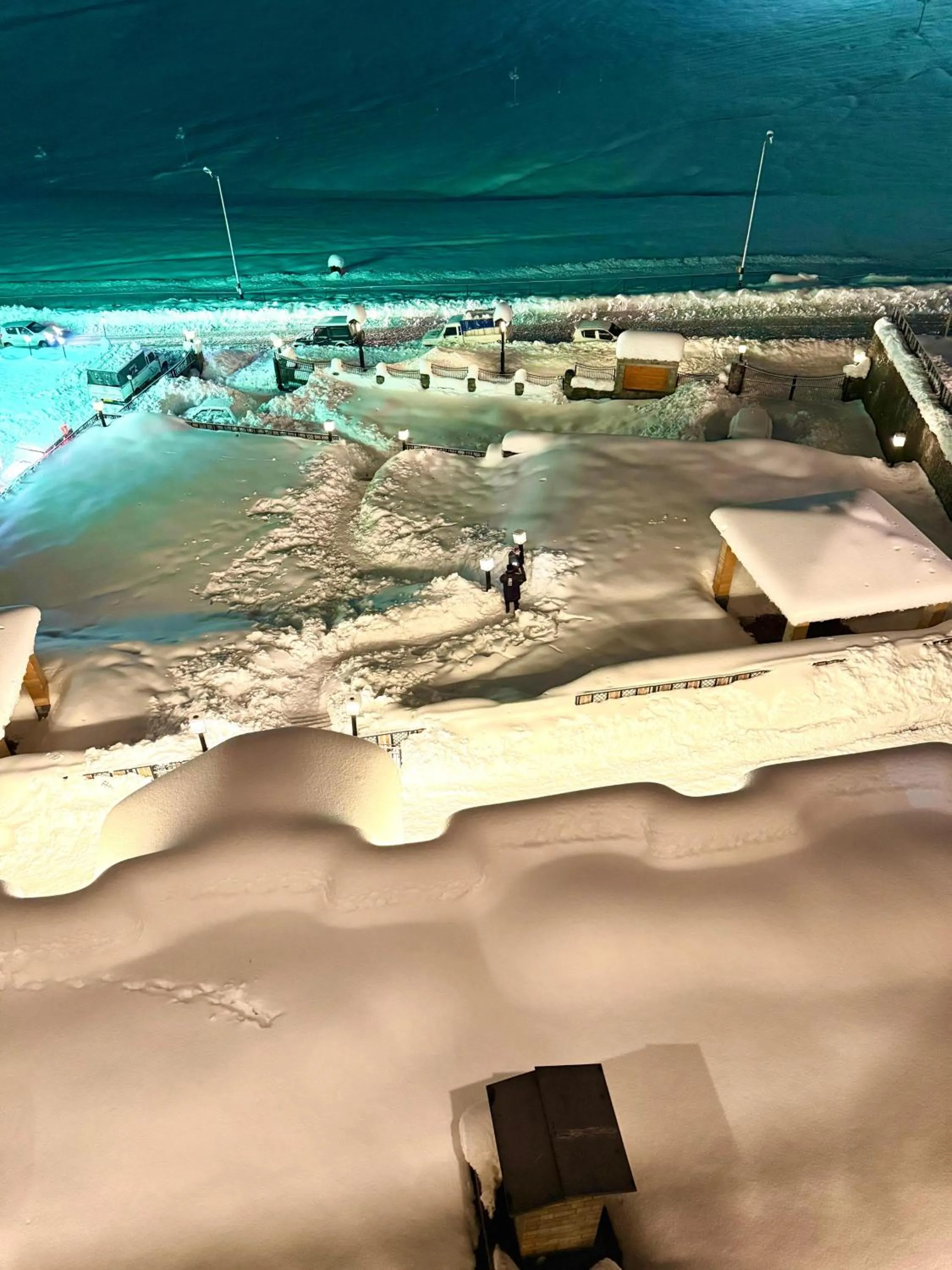 View (from property/room) in The Vintage Gulmarg