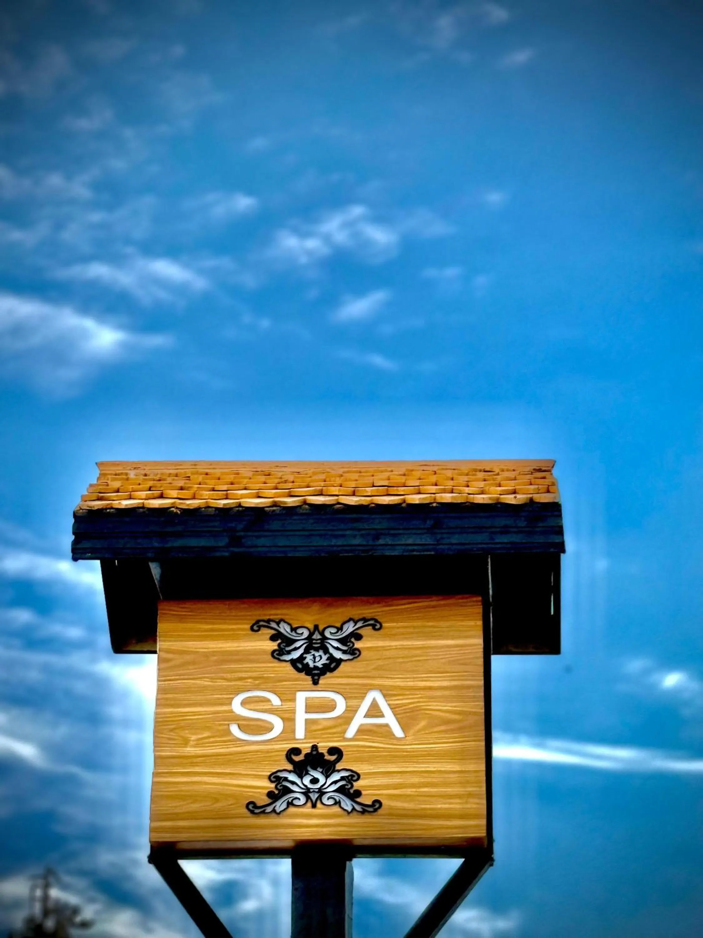 Spa and wellness centre/facilities in The Vintage Gulmarg