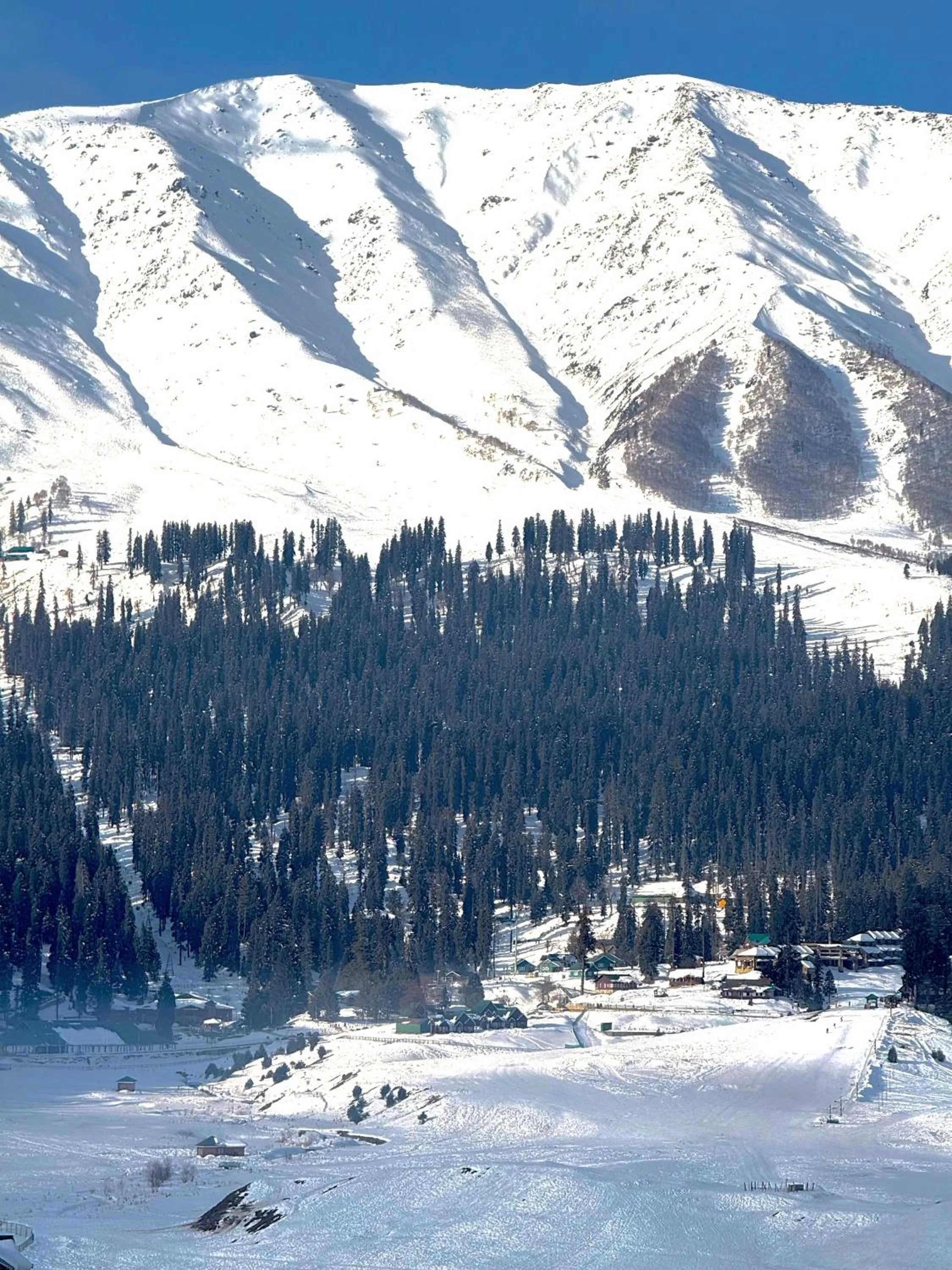 View (from property/room) in The Vintage Gulmarg