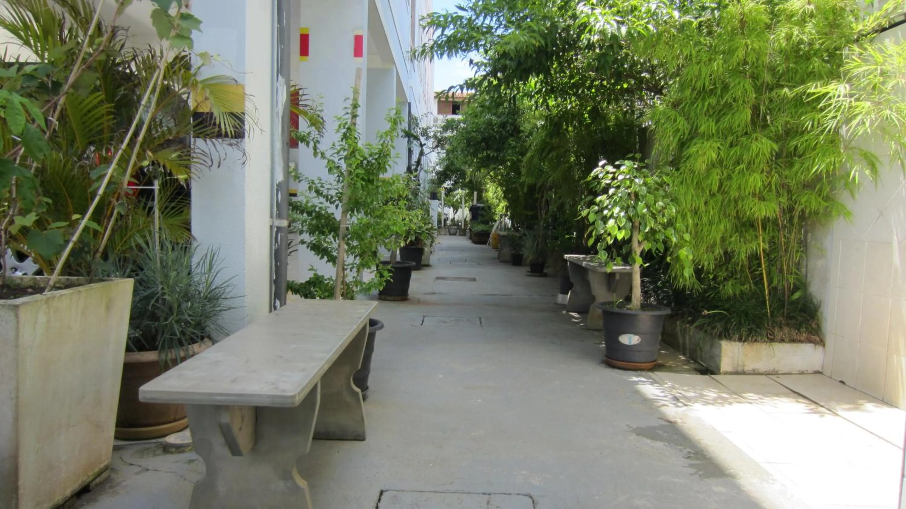 Day in Kasato Maru Residence