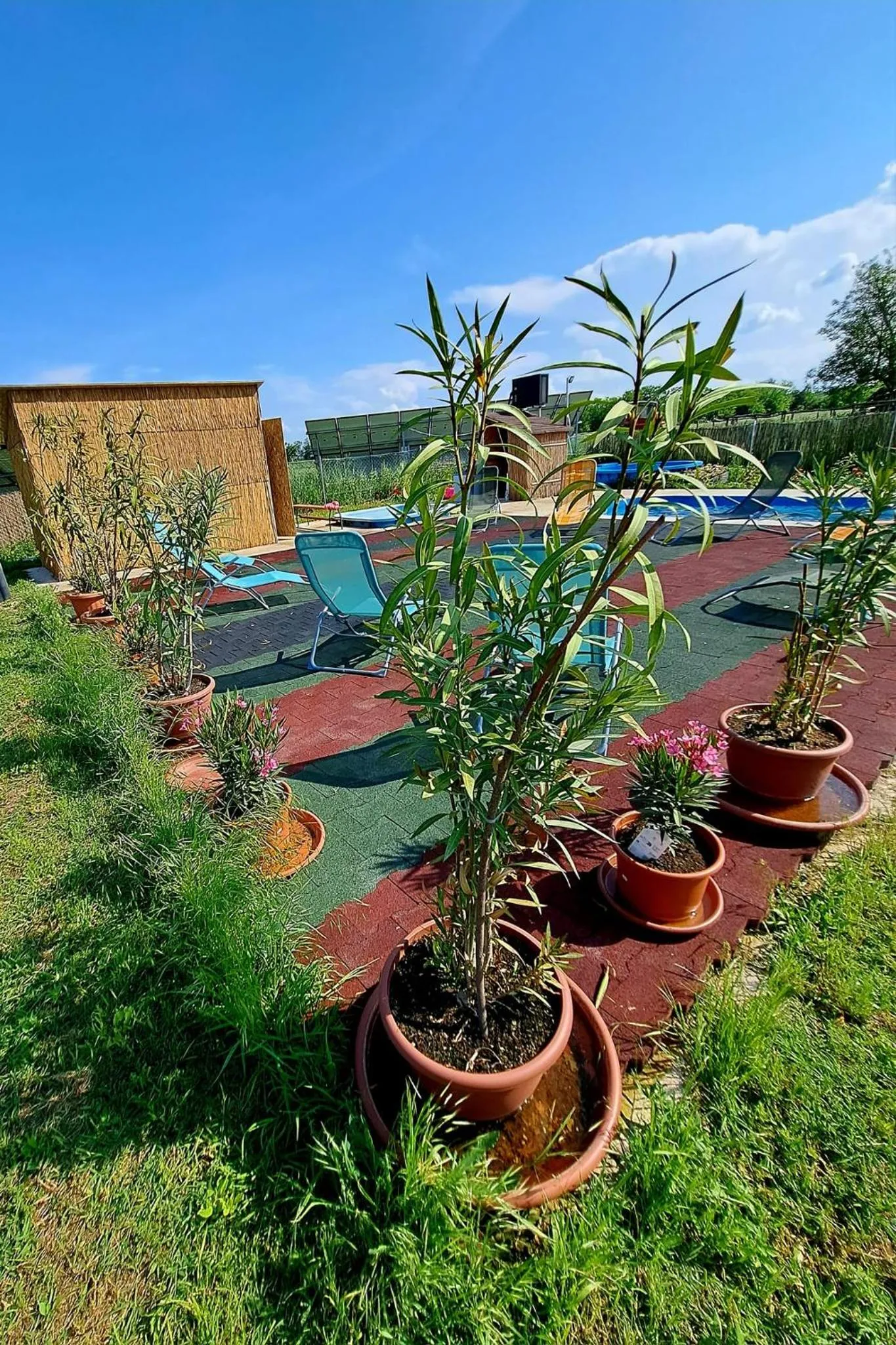 Balcony/Terrace in Csodarét Kúria