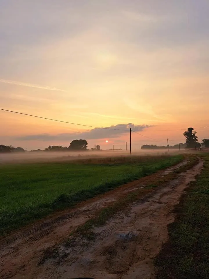 Garden in Csodarét Kúria