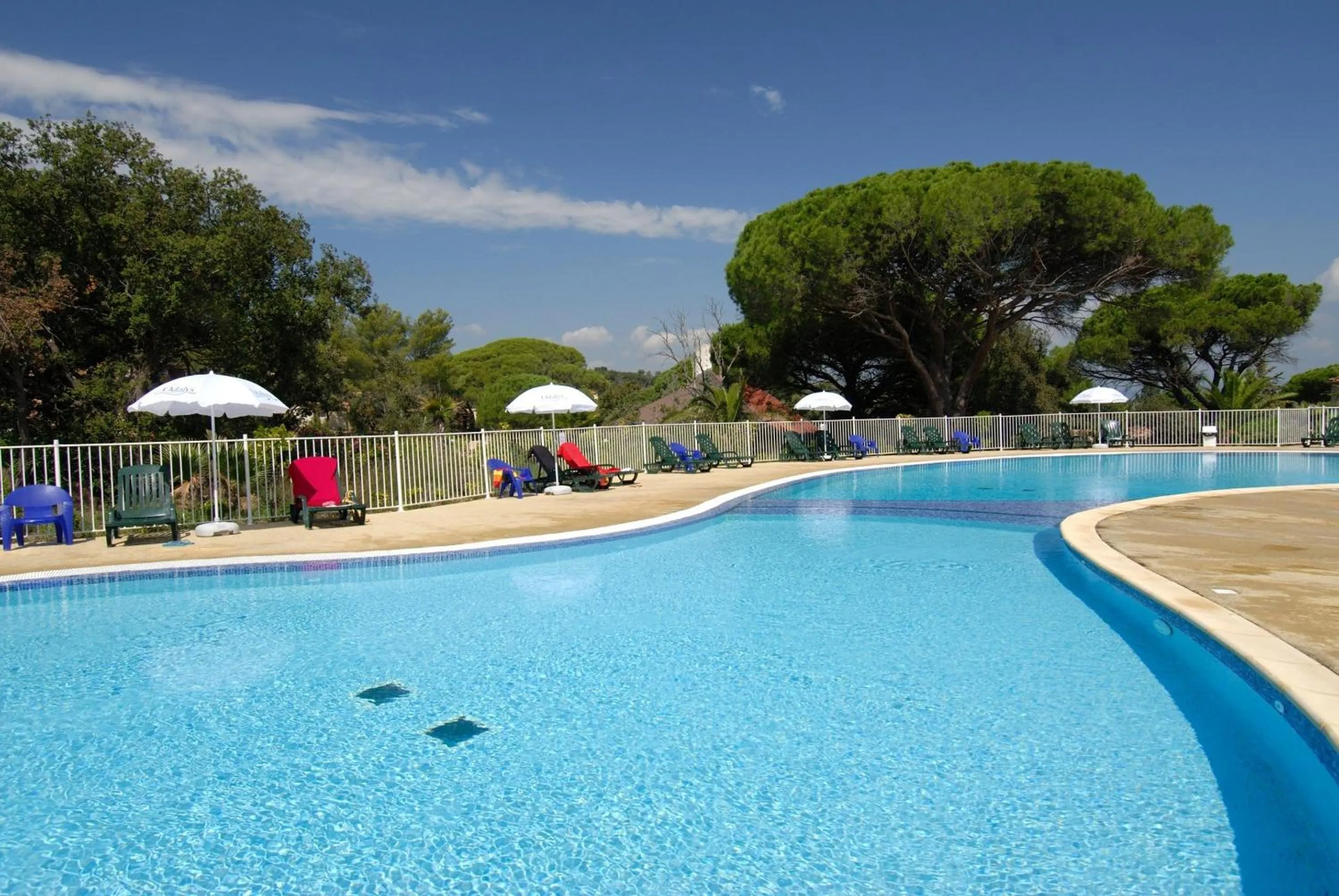 Swimming pool in Résidence Odalys Domaine des Eucalyptus