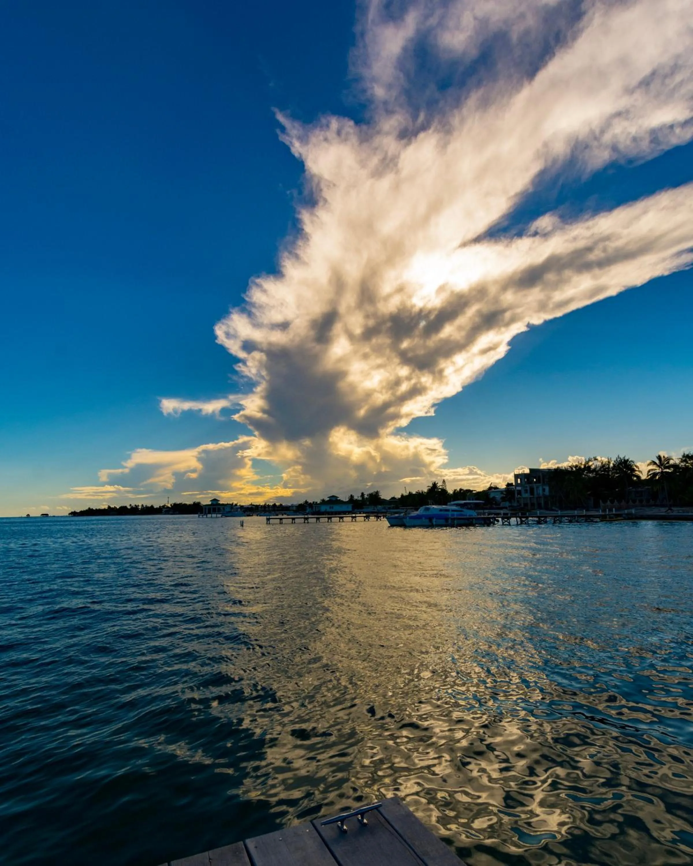 Natural landscape in Xanadu Island Resort