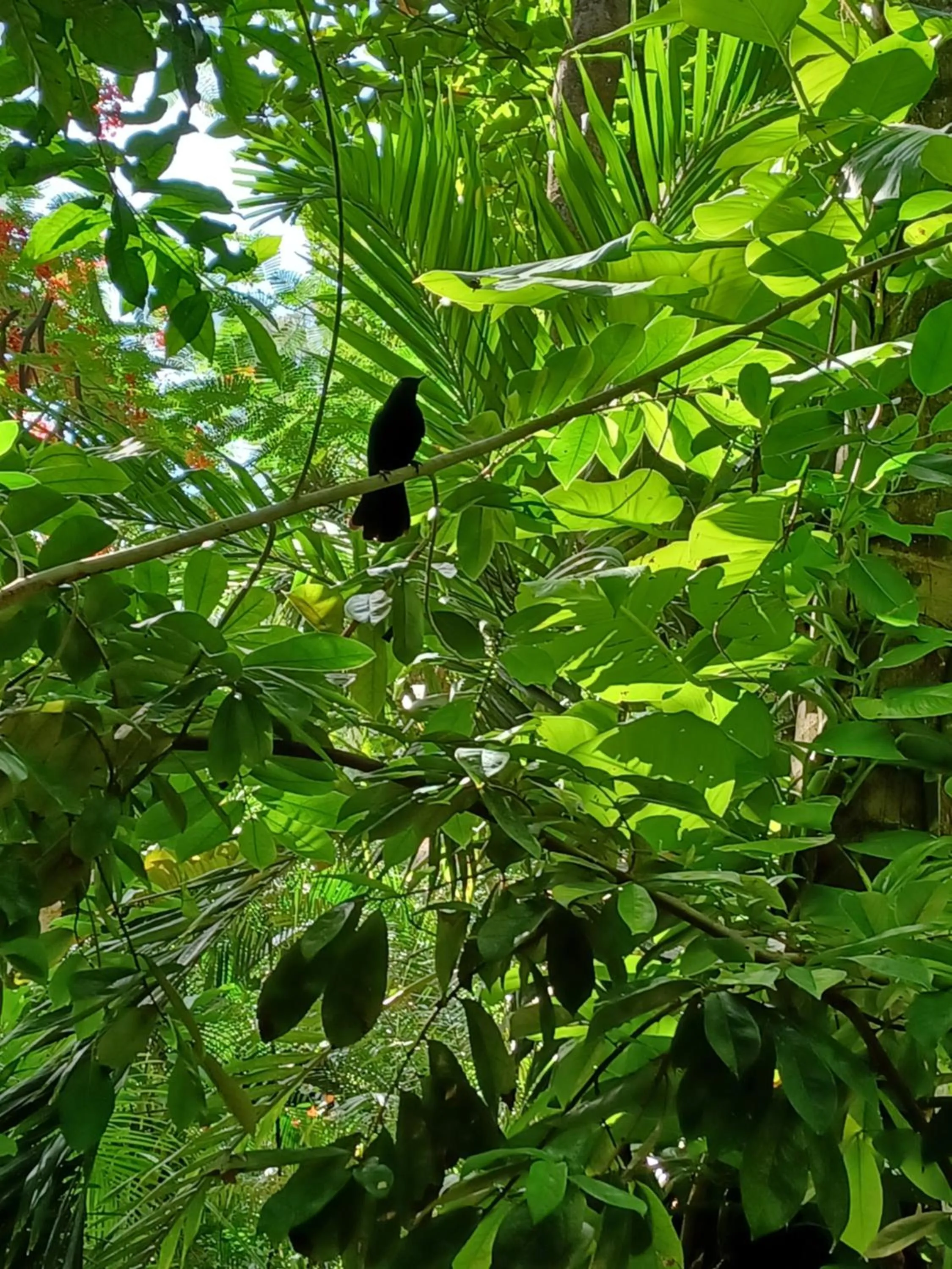 Property building in Xanadu Island Resort