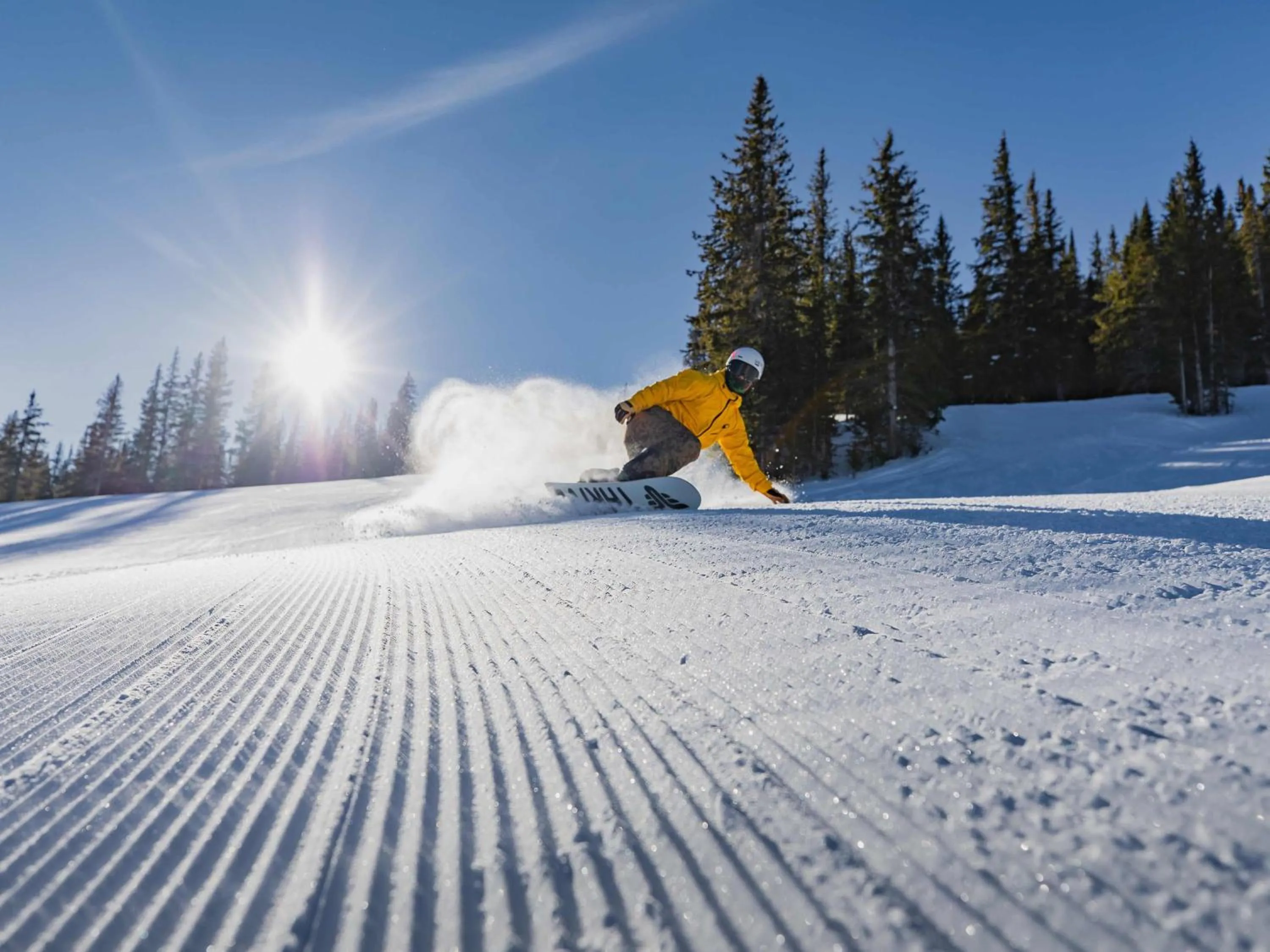 Lichenhearth - CoralTree Residence Collection