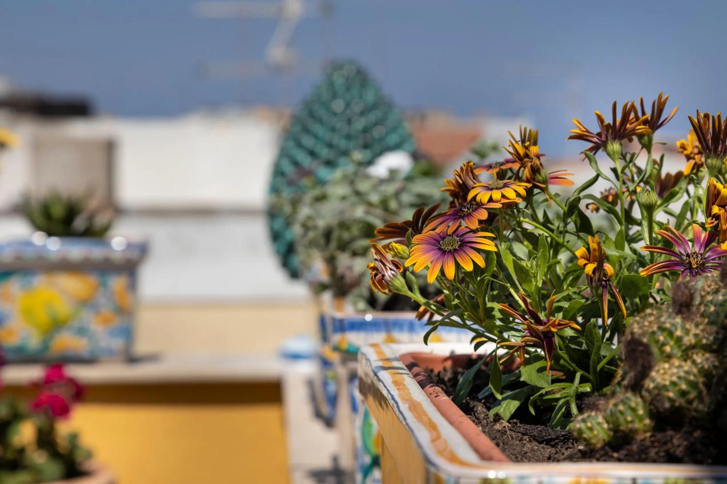Balcony/Terrace in Saint George's House Appartamenti & Spa