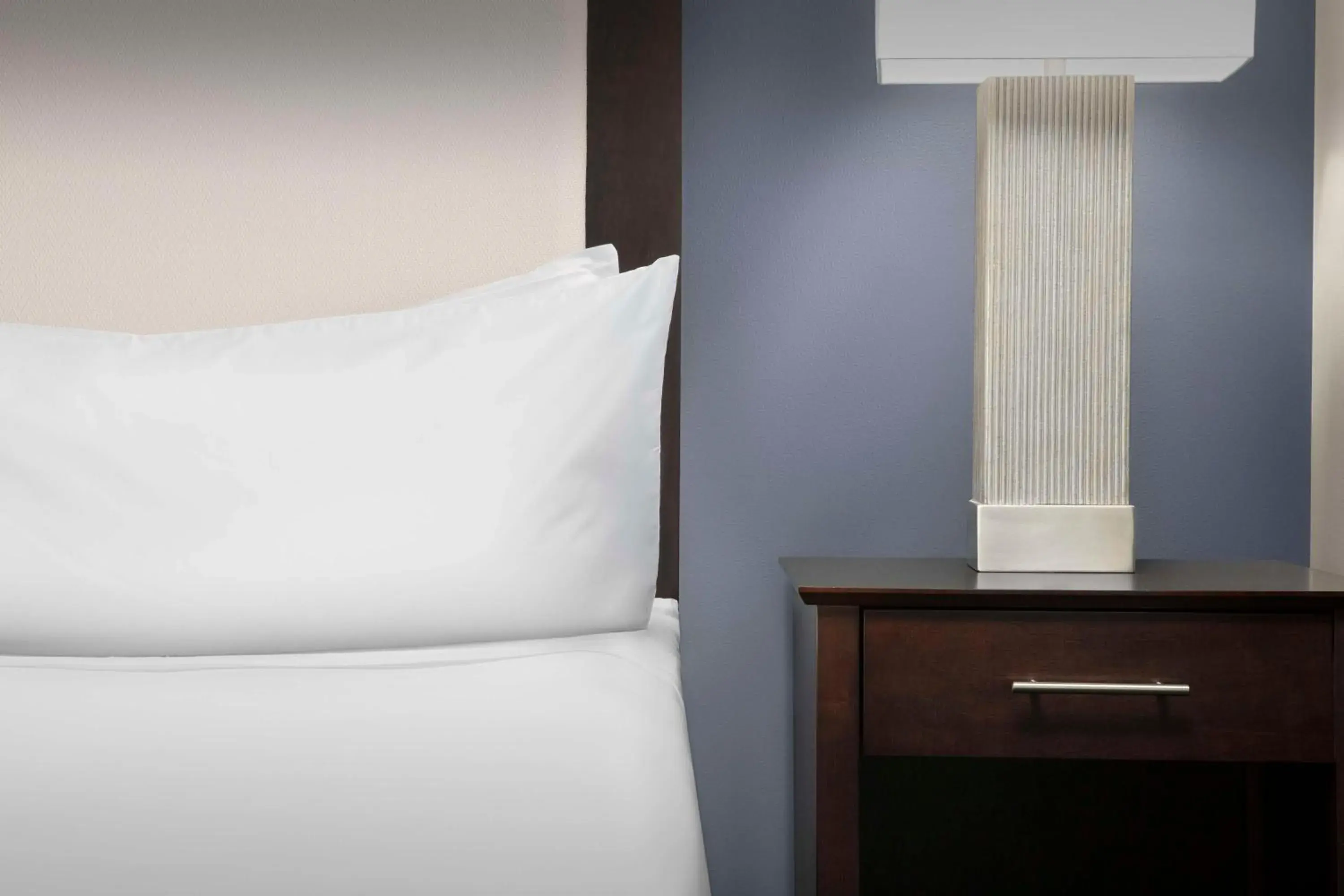 King Studio Suite - Non-Smoking in Homewood Suites Dallas Downtown King Studio Suite - Non-Smoking in Homewood Suites Dallas Downtown