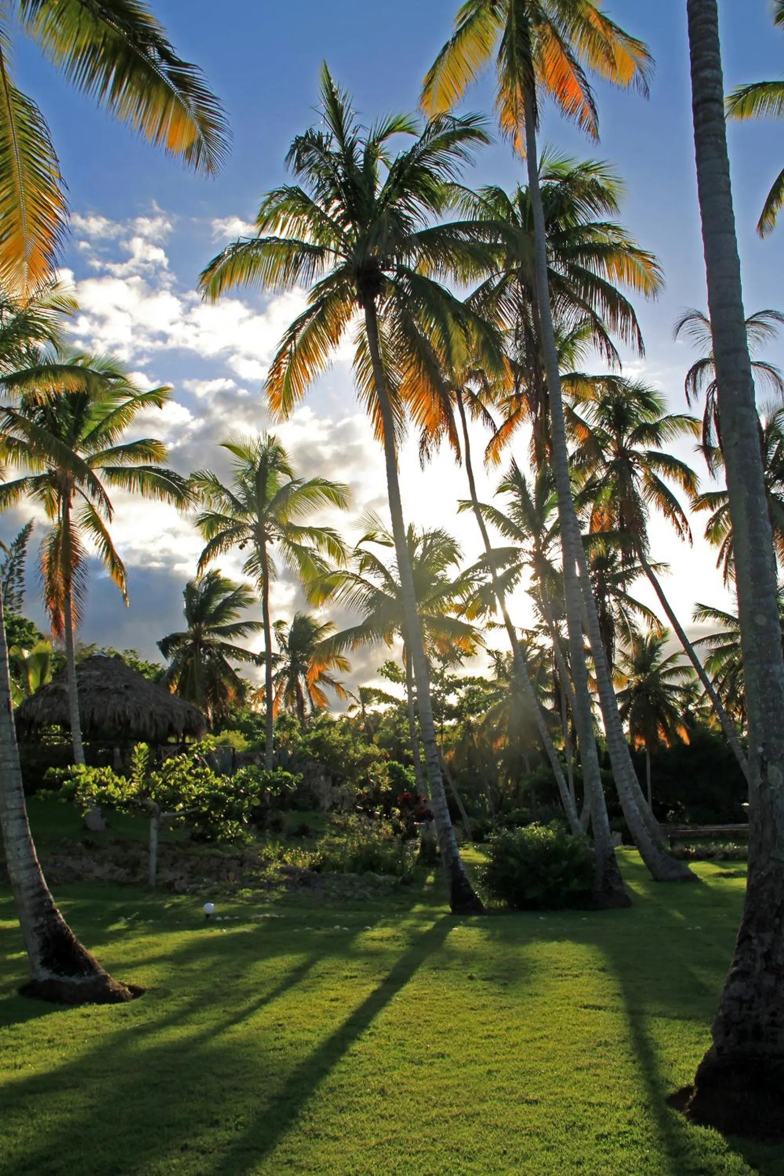 Garden in Hotel TODOBLANCO, Las Galeras, SAMANA