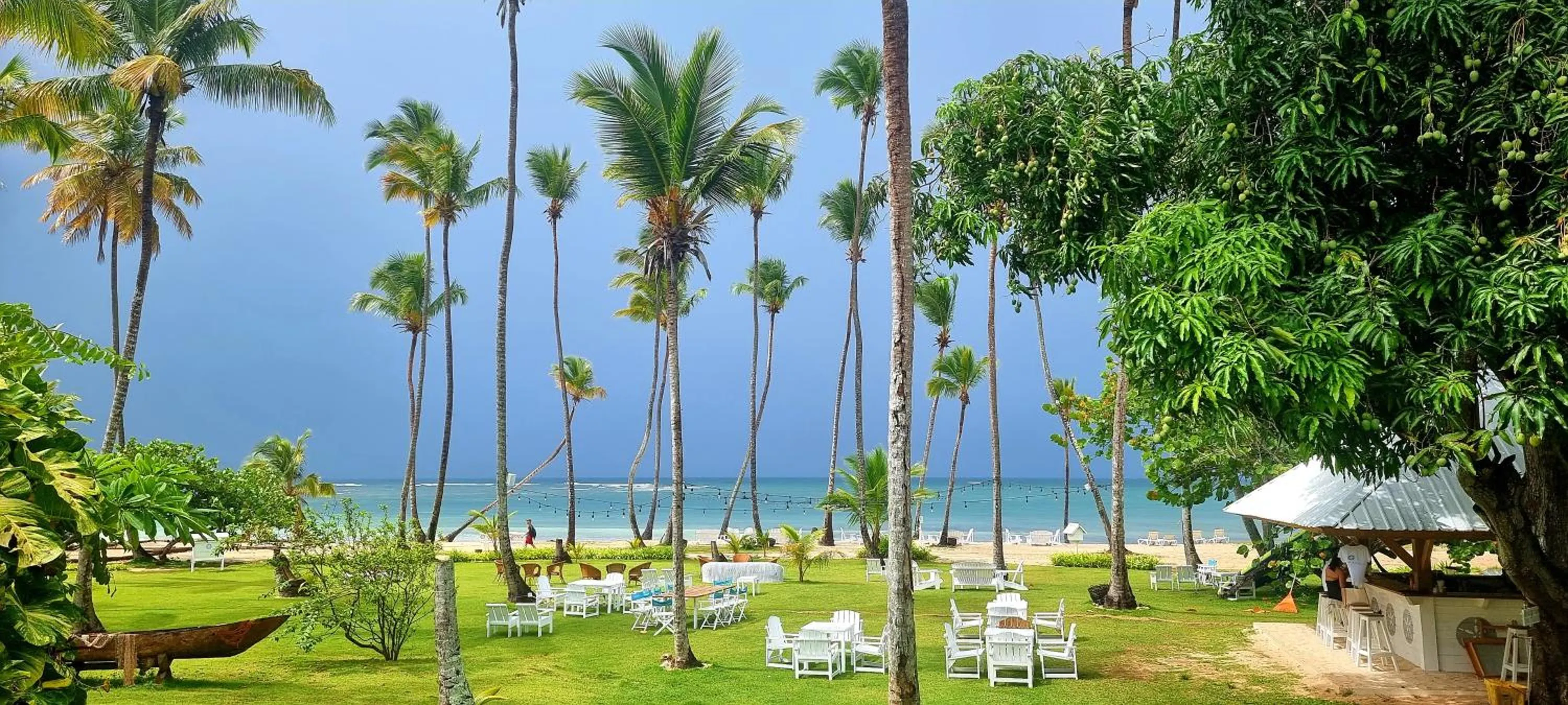Garden in Hotel TODOBLANCO, Las Galeras, SAMANA