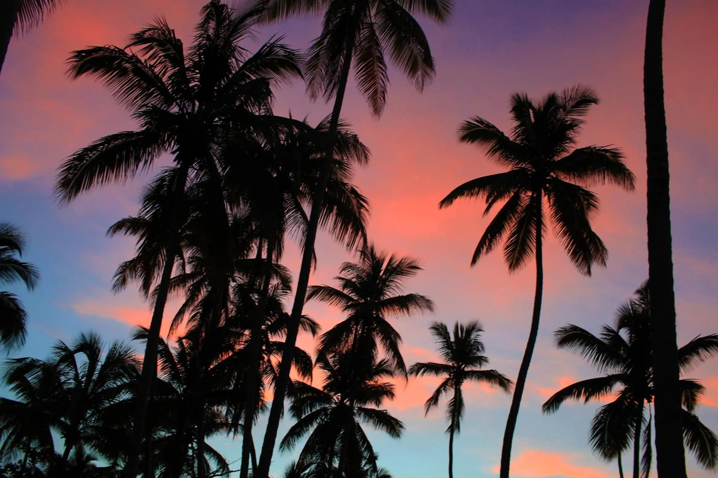 Sunset in Hotel TODOBLANCO, Las Galeras, SAMANA