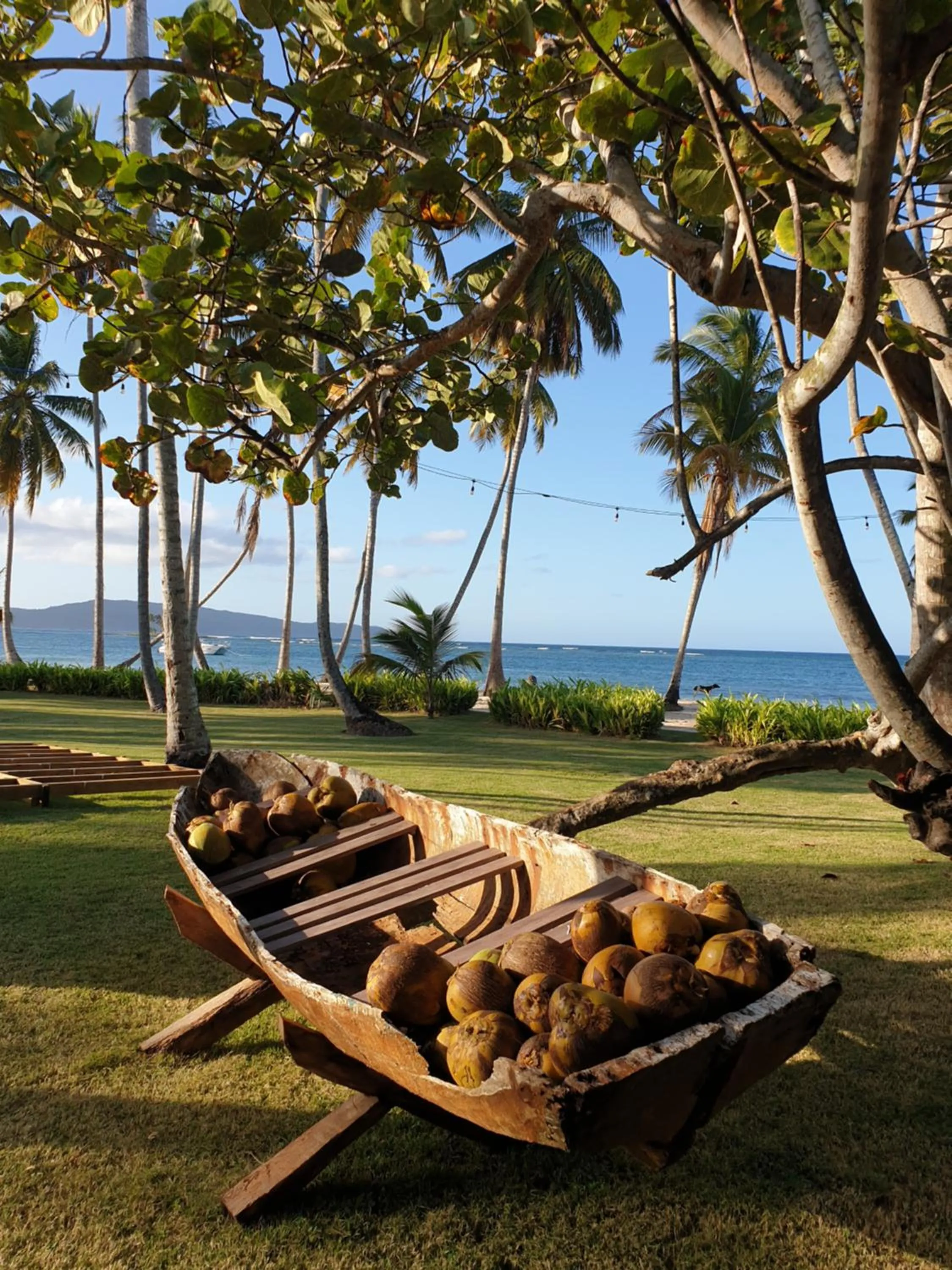Garden in Hotel TODOBLANCO, Las Galeras, SAMANA