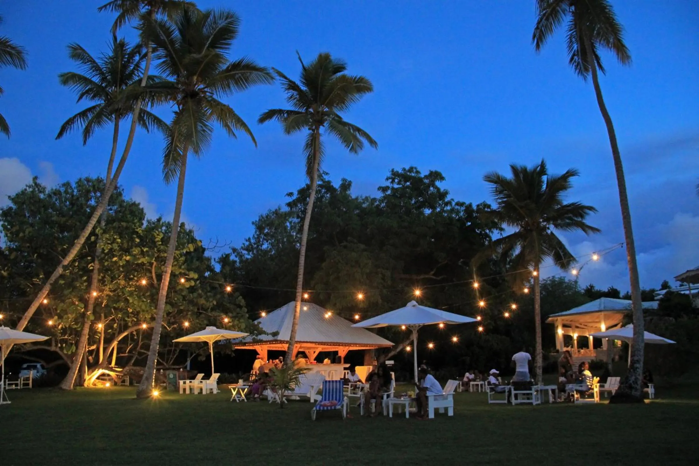 Garden in Hotel TODOBLANCO, Las Galeras, SAMANA