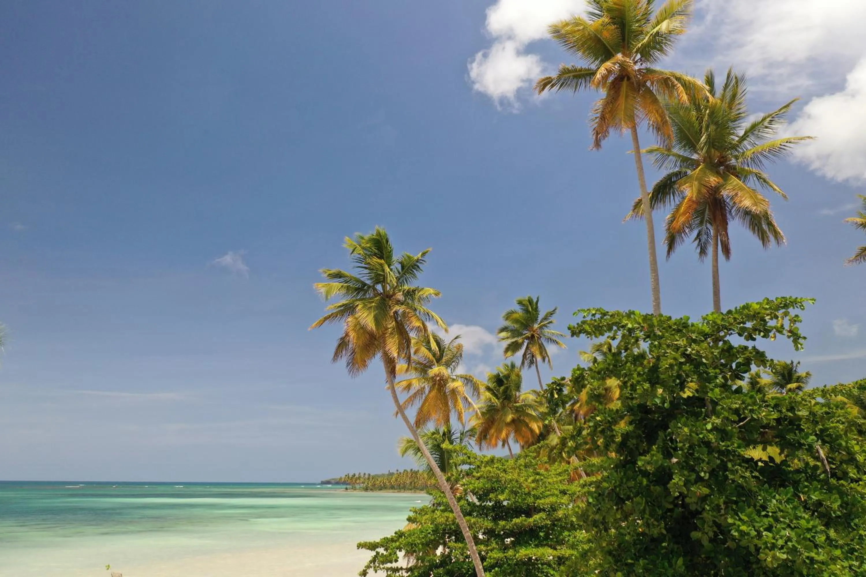 Beach in Hotel TODOBLANCO, Las Galeras, SAMANA