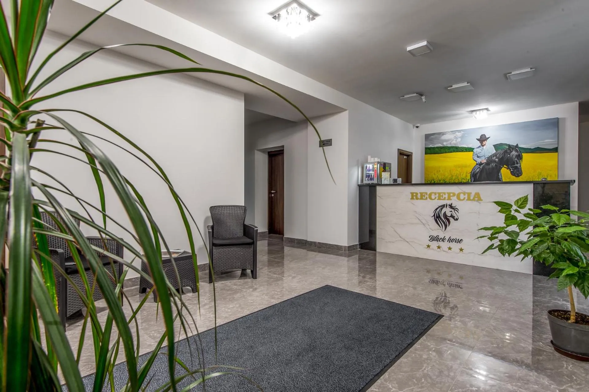 Lobby or reception in Black Horse