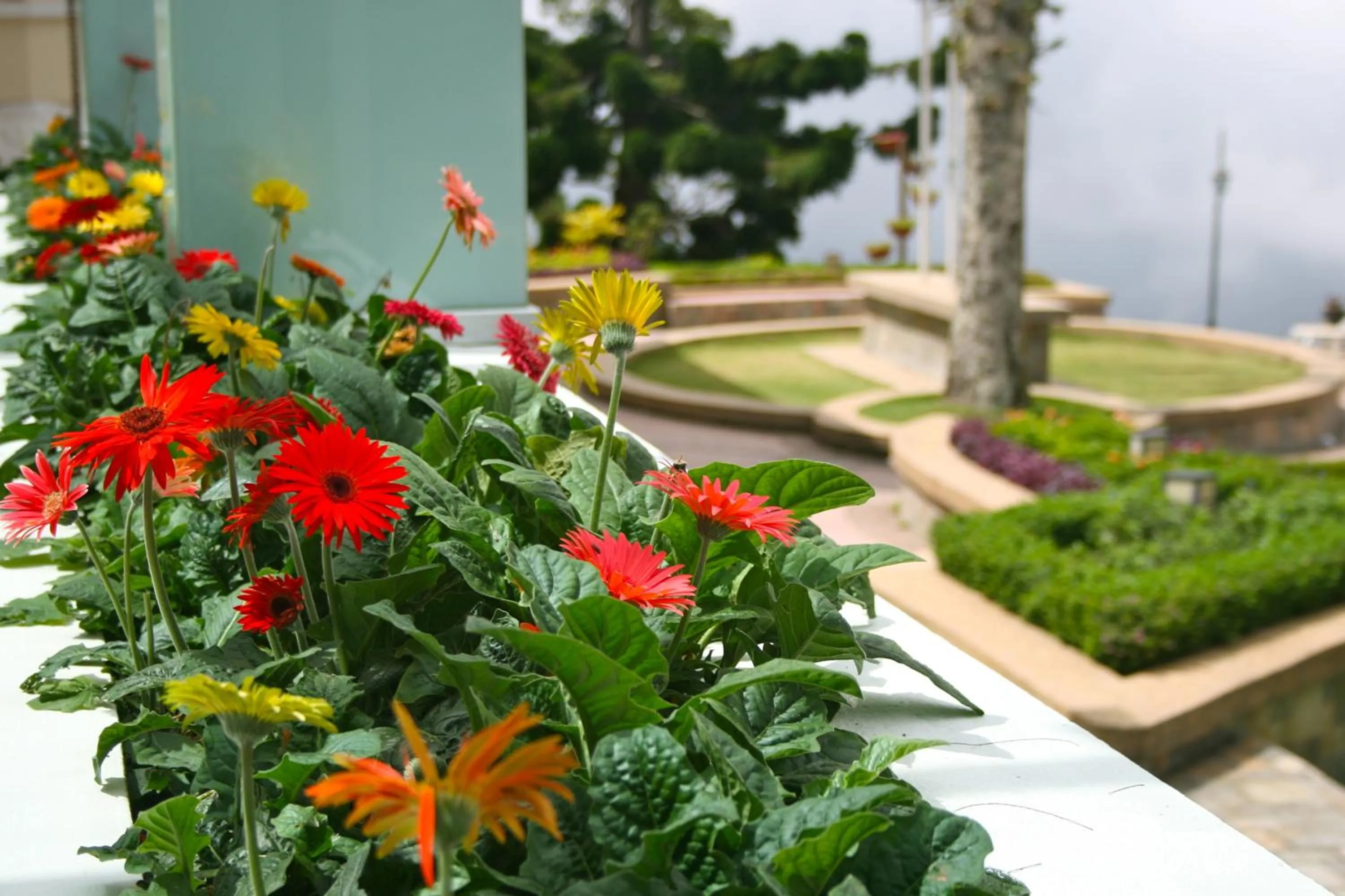 Day in The Jerai Hill Resort