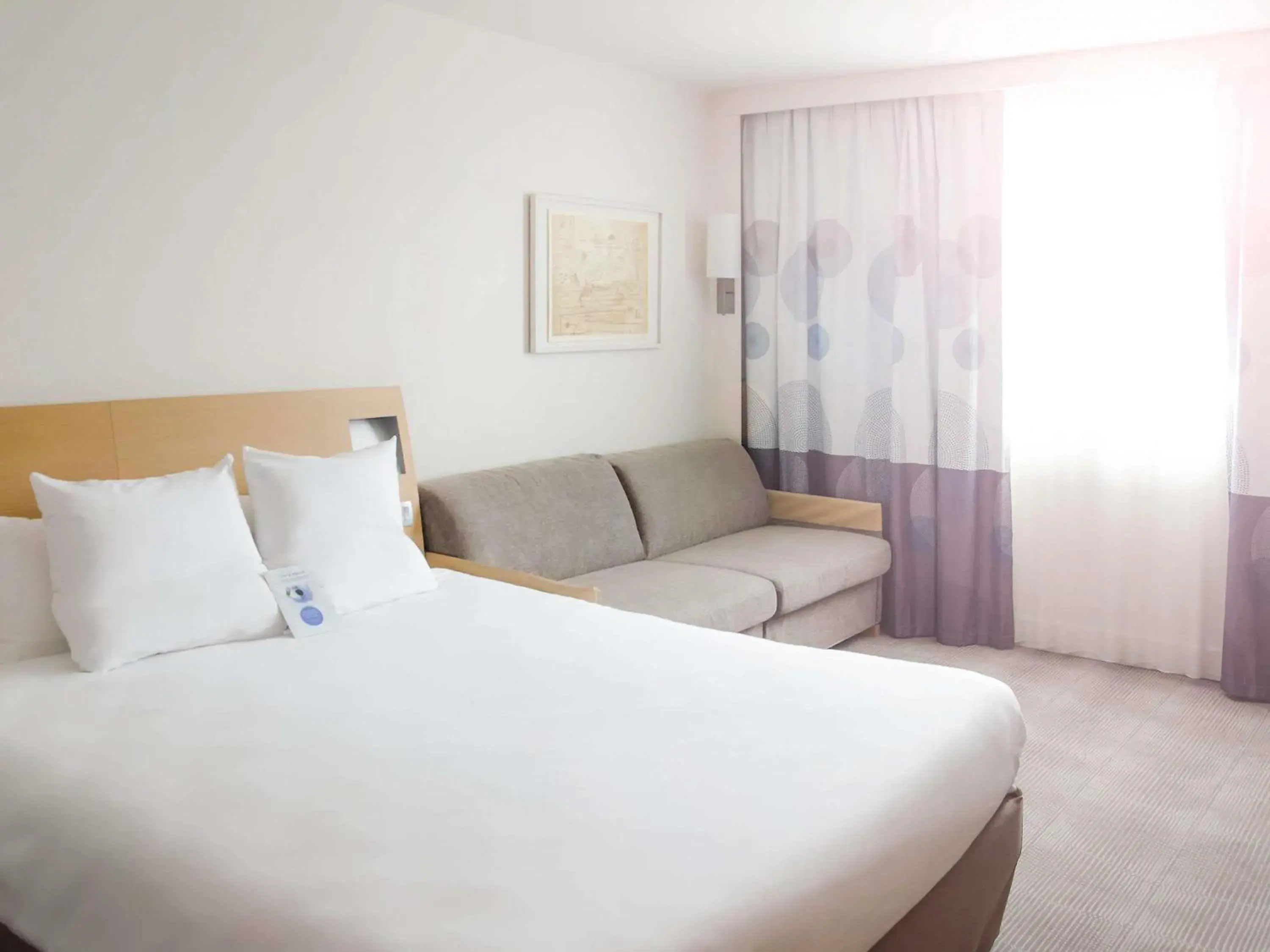 Standard Room with 1 Double Bed and 1 Sofa Bed for One Person in Novotel Reims Tinqueux Standard Room with 1 Double Bed and 1 Sofa Bed for One Person in Novotel Reims Tinqueux
