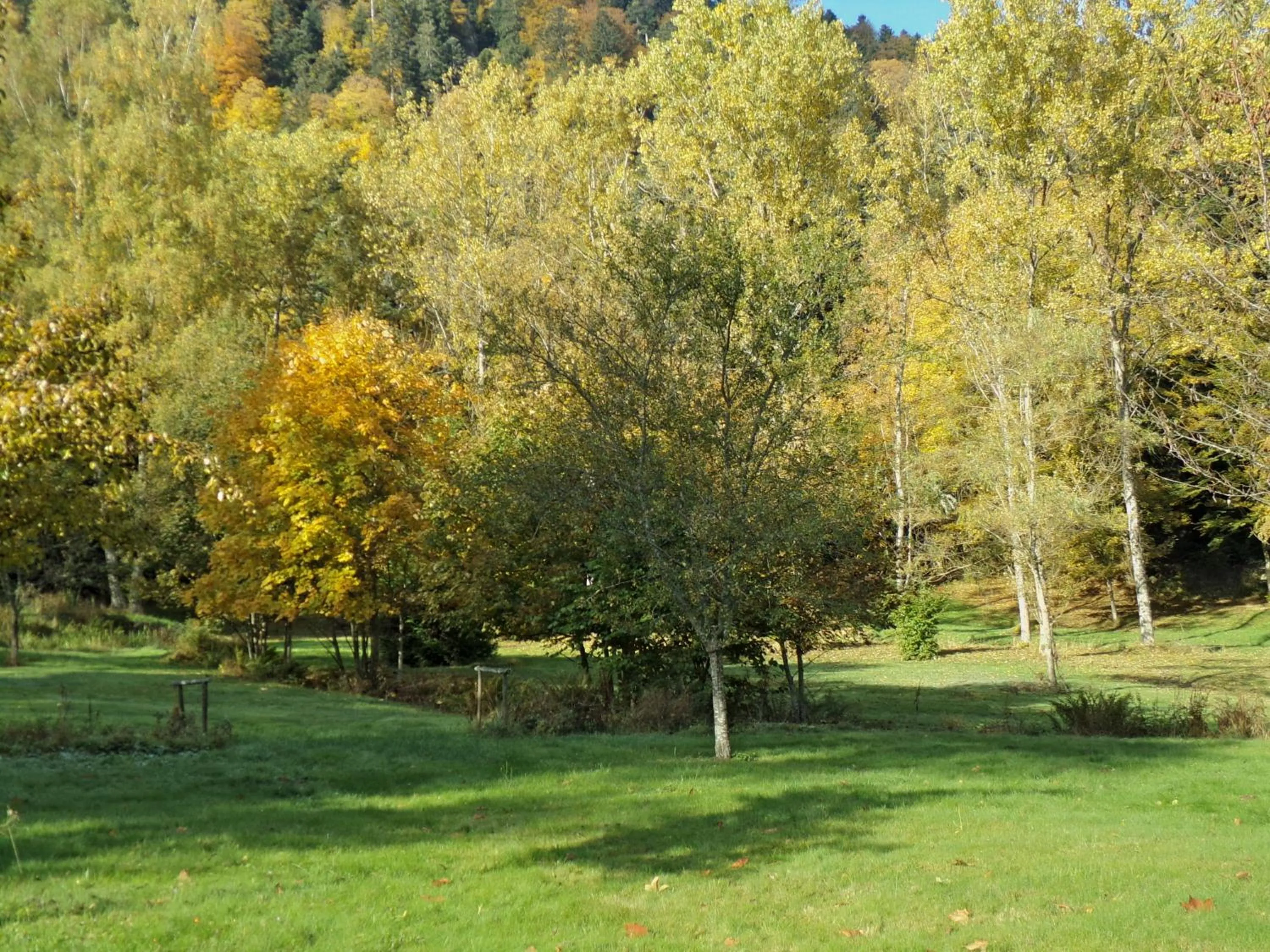 Garden in Hotel-Spa & Restaurant Logis Domaine Langmatt