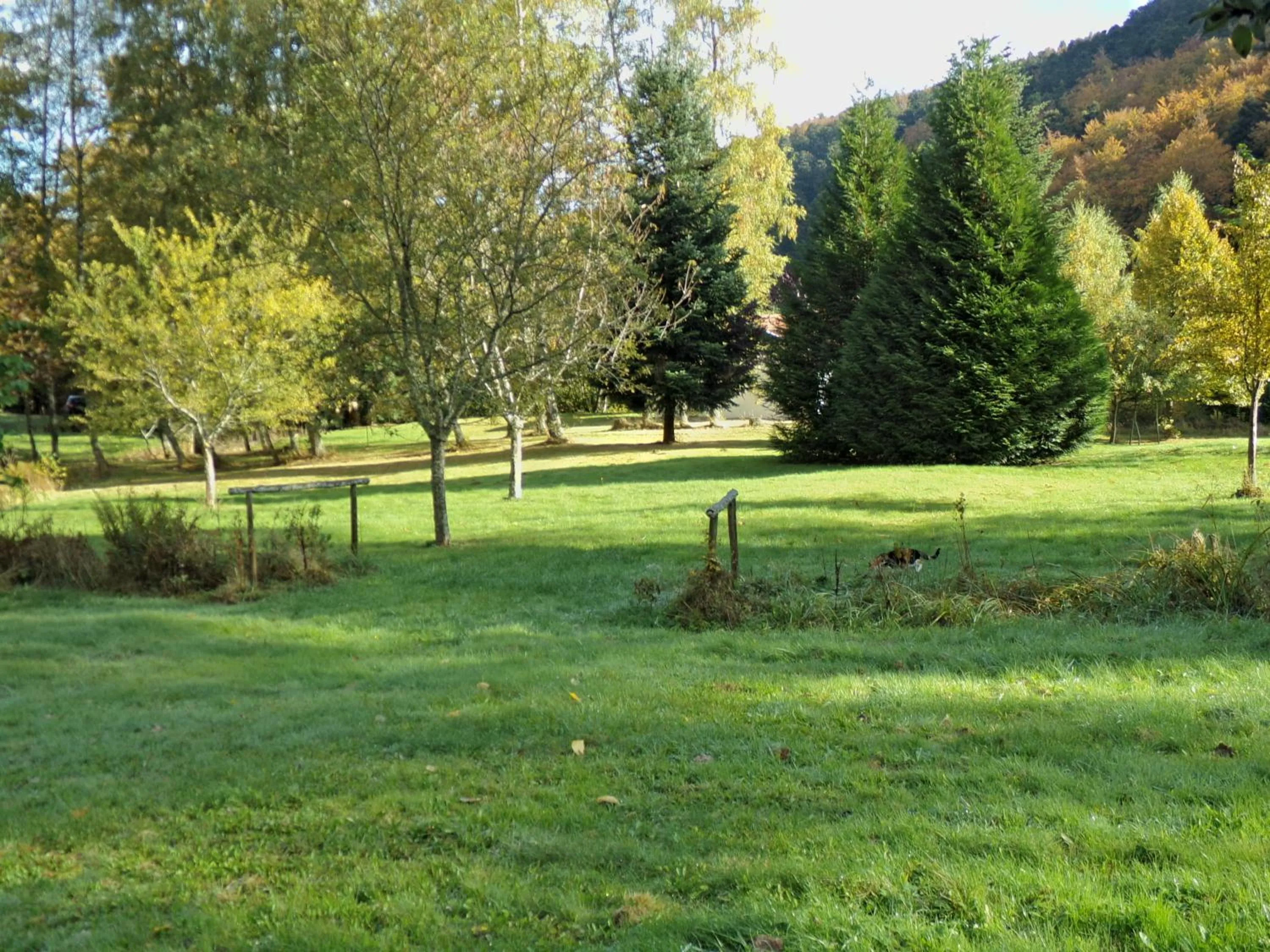 Garden in Hotel-Spa & Restaurant Logis Domaine Langmatt