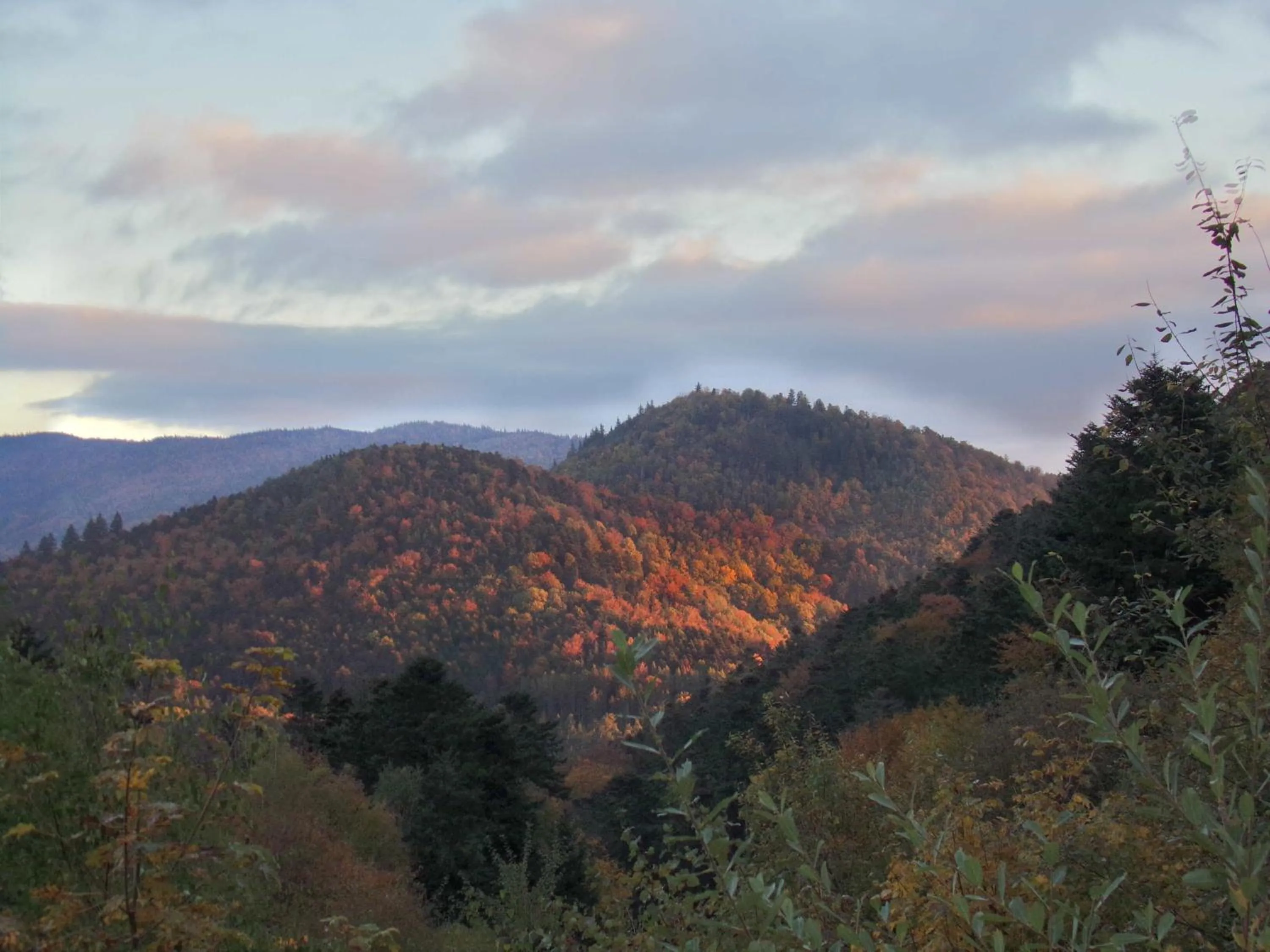 Natural landscape in Hotel-Spa & Restaurant Logis Domaine Langmatt