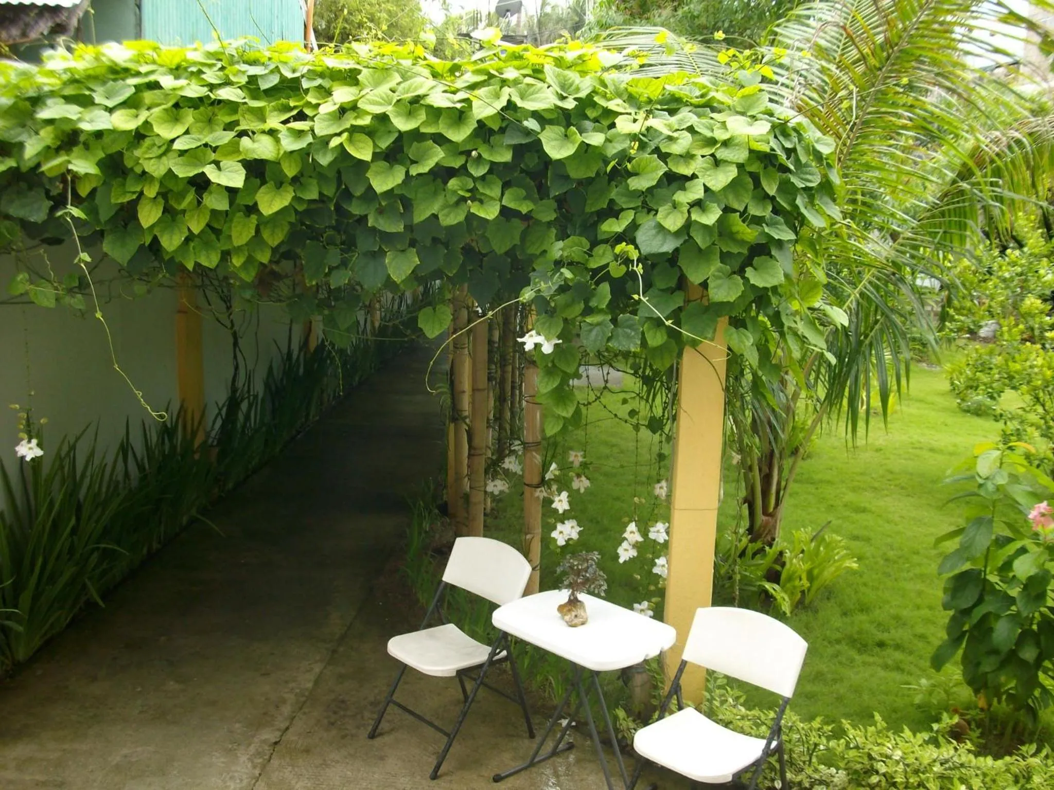 Garden in Greenyard Inn