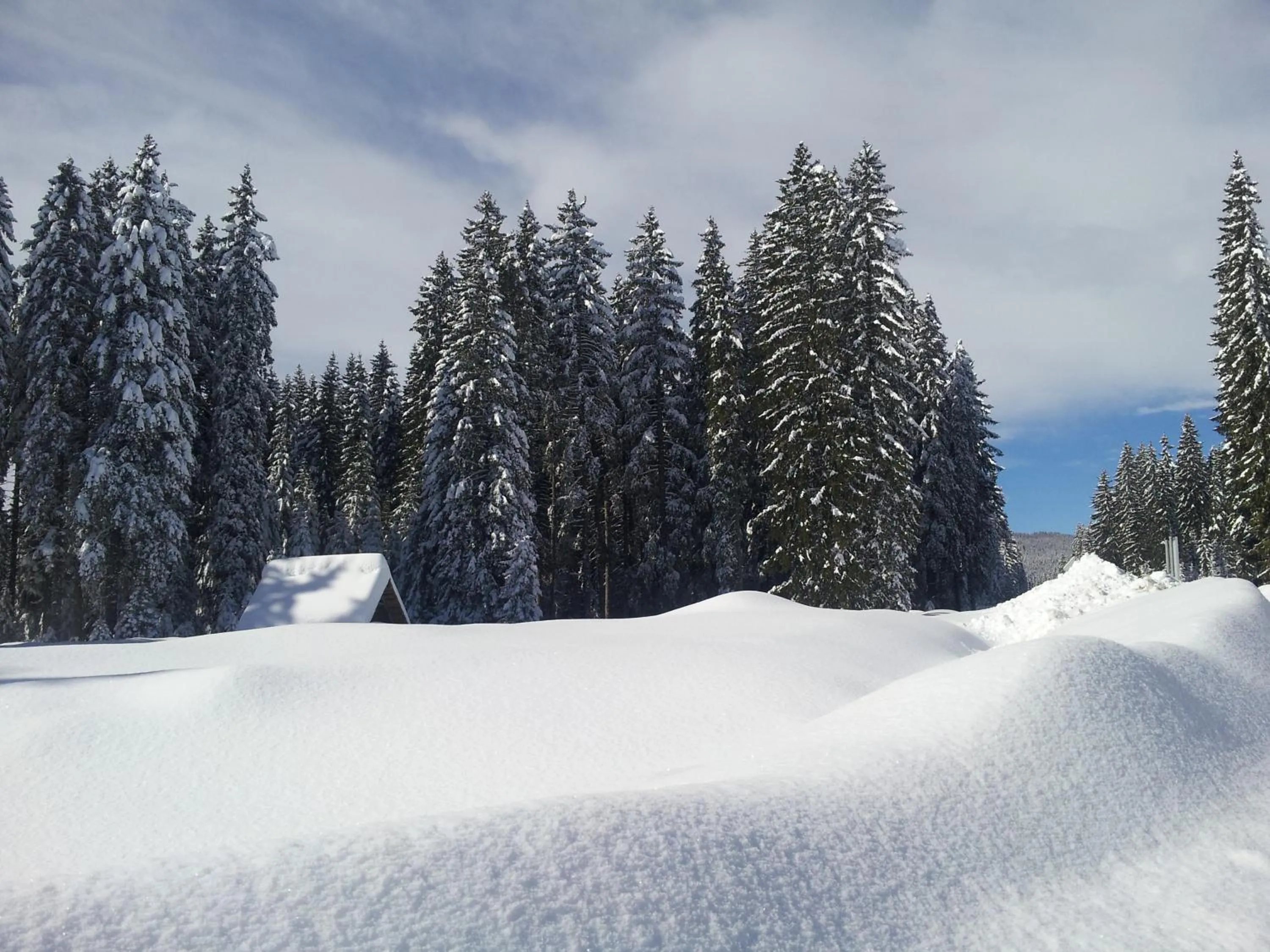 Winter in Hotel Jelka Pokljuka